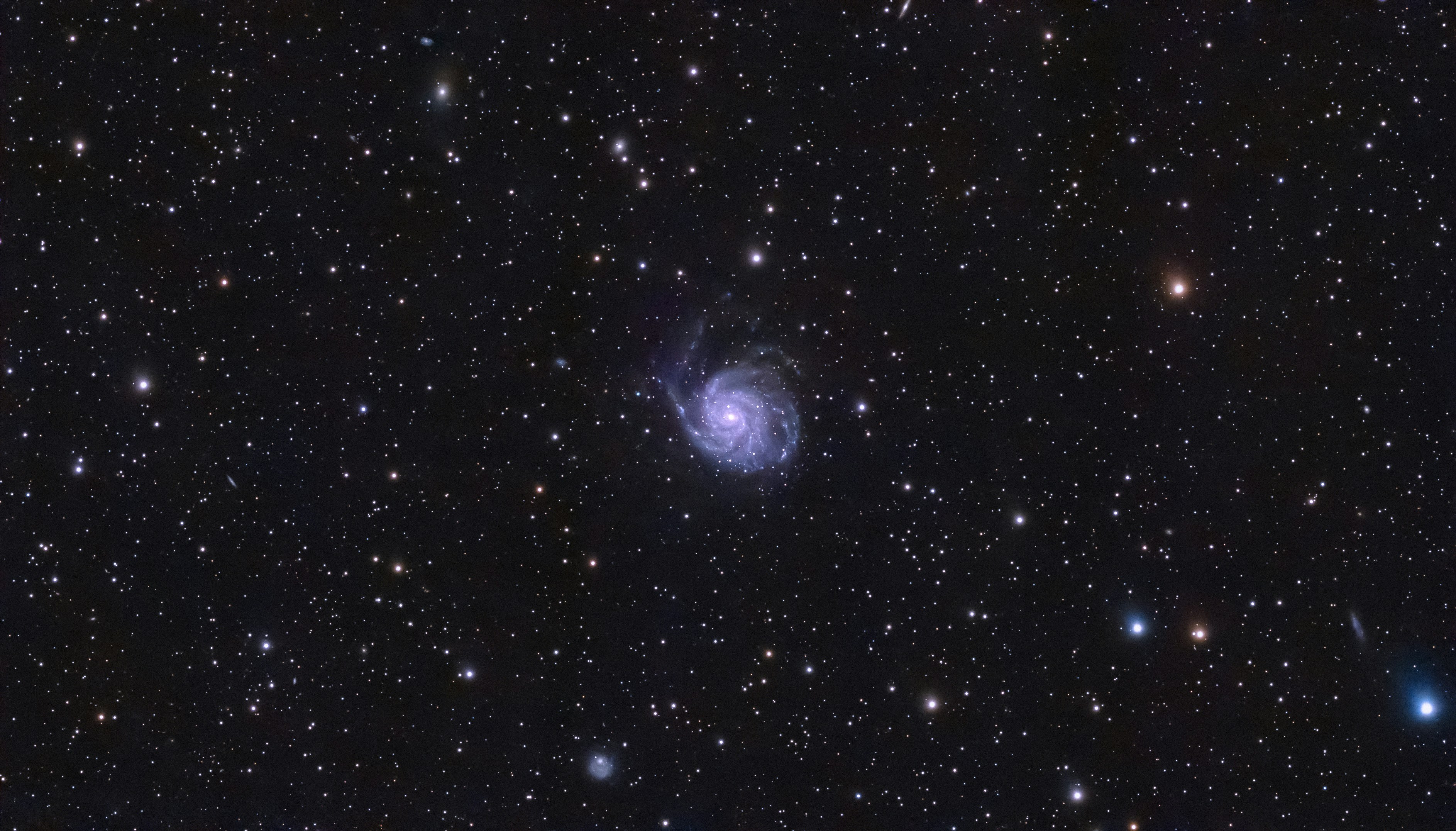 Affordable Registered Agent Services for Your Company