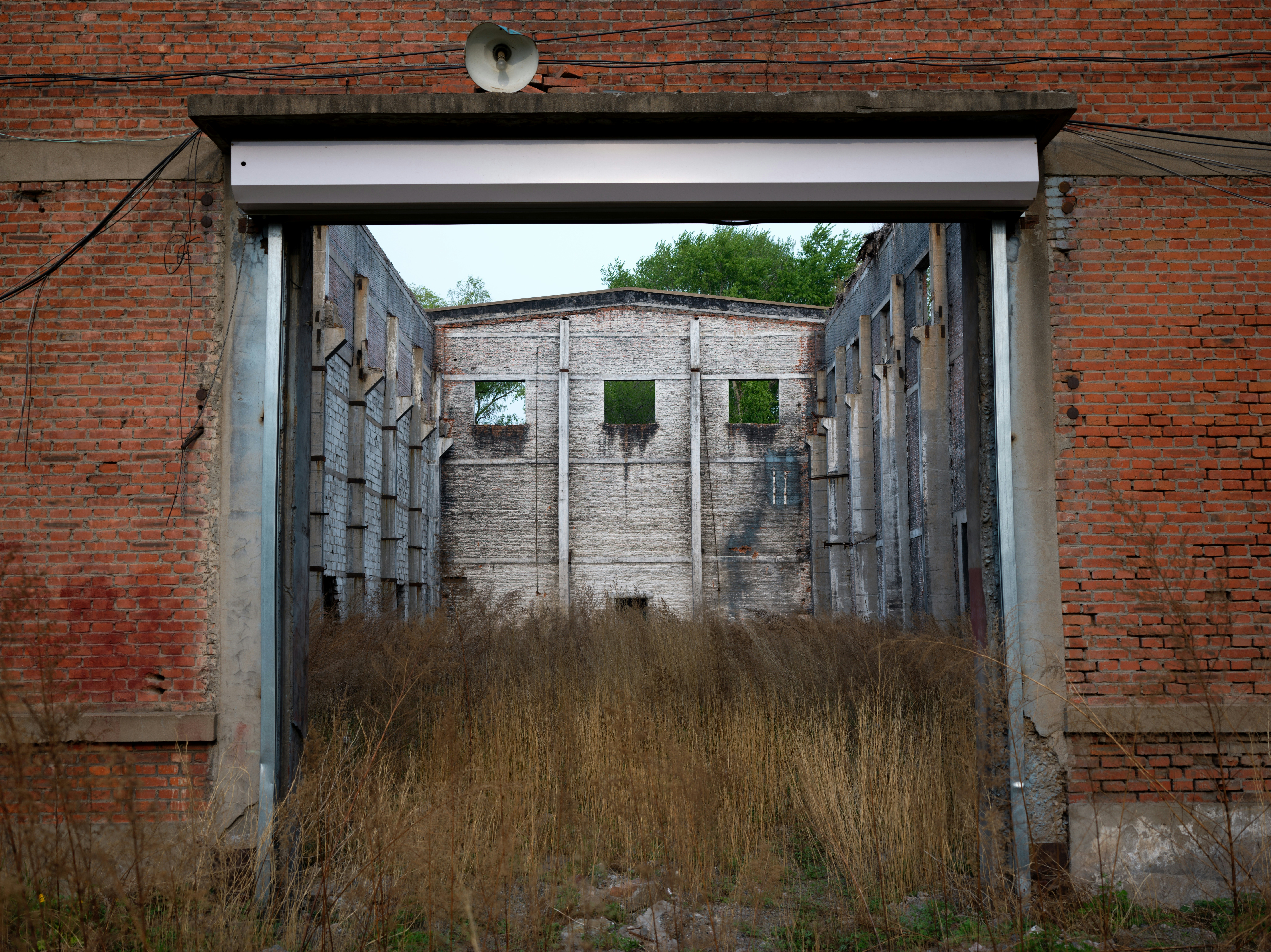 Photo by chrisdof_gsn