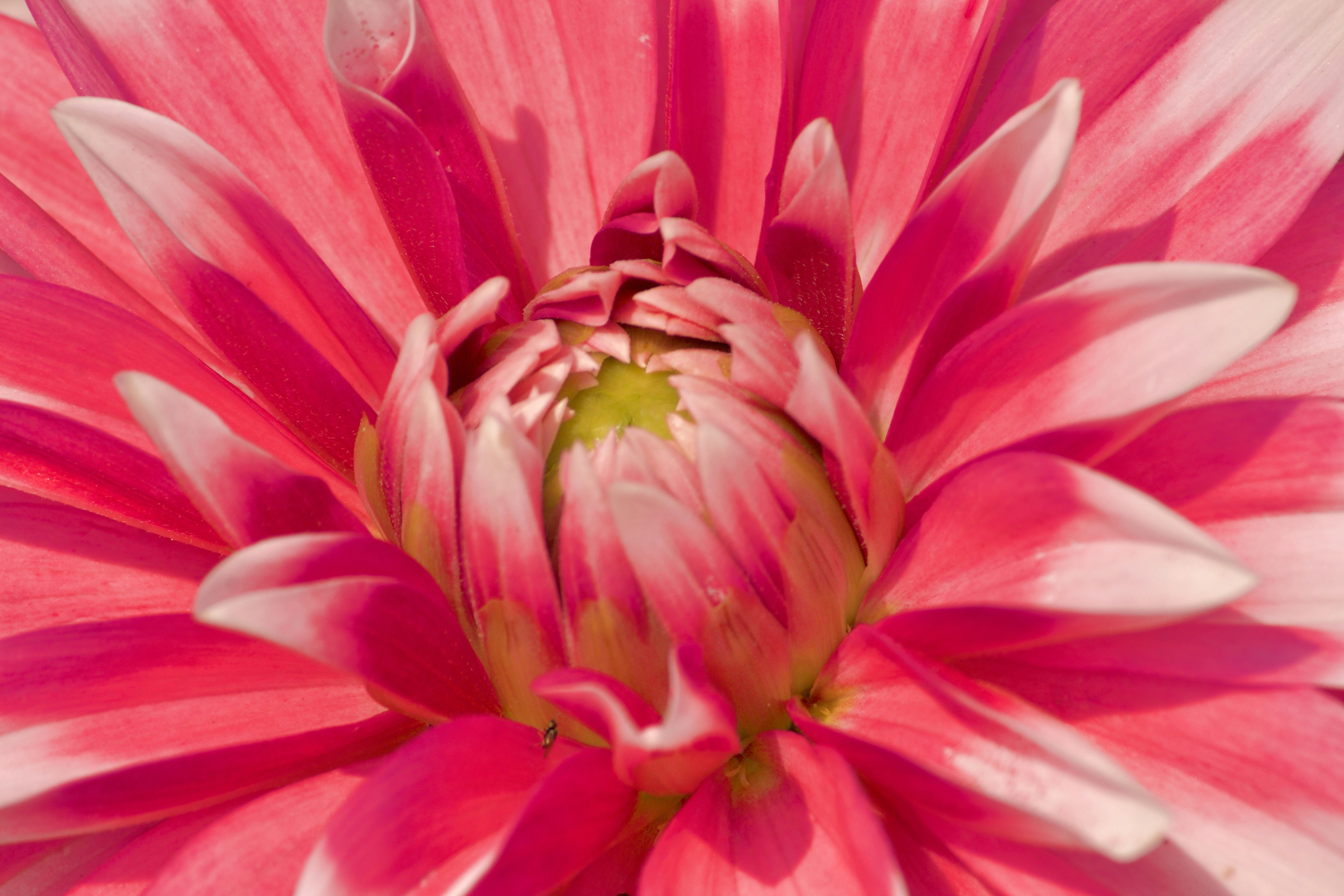 Photo by the_infinity_pictures