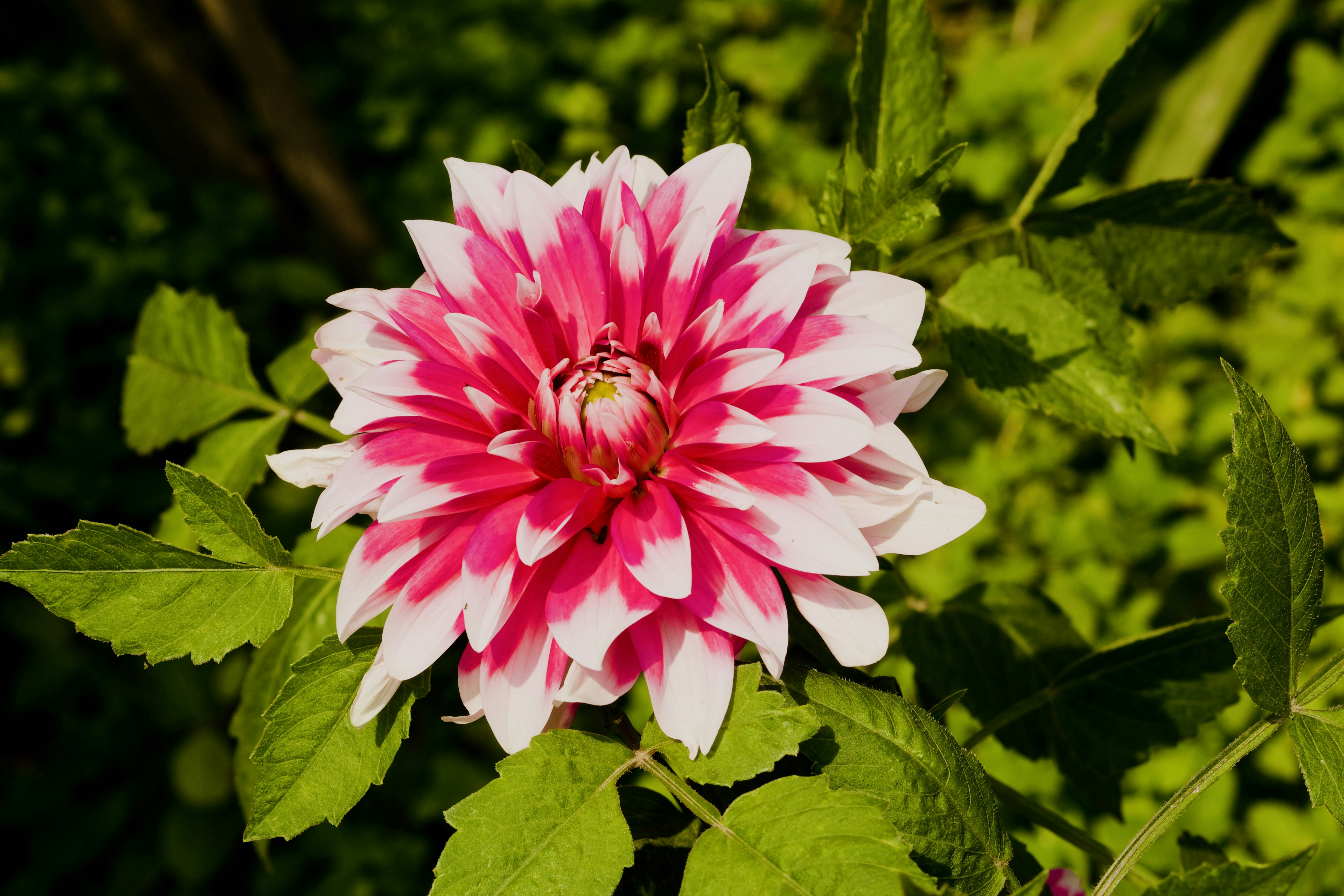 Photo by the_infinity_pictures