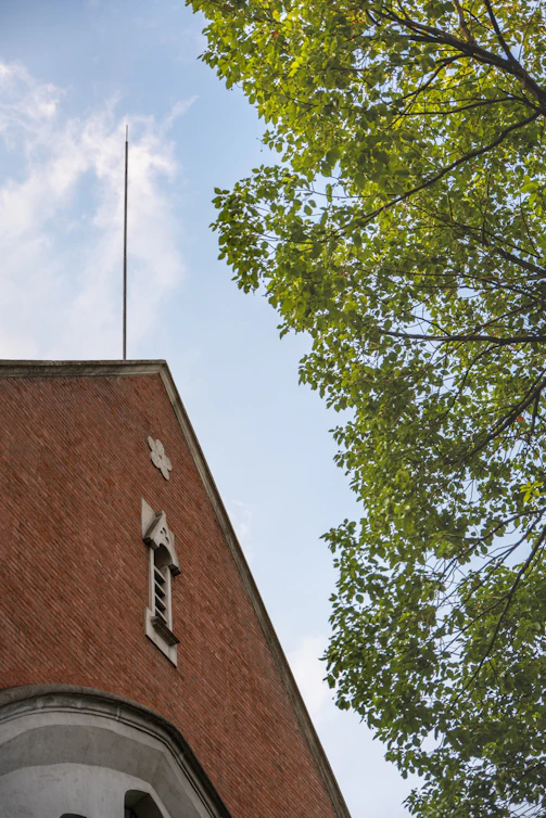 Brick building corner with green leaves and blue sky