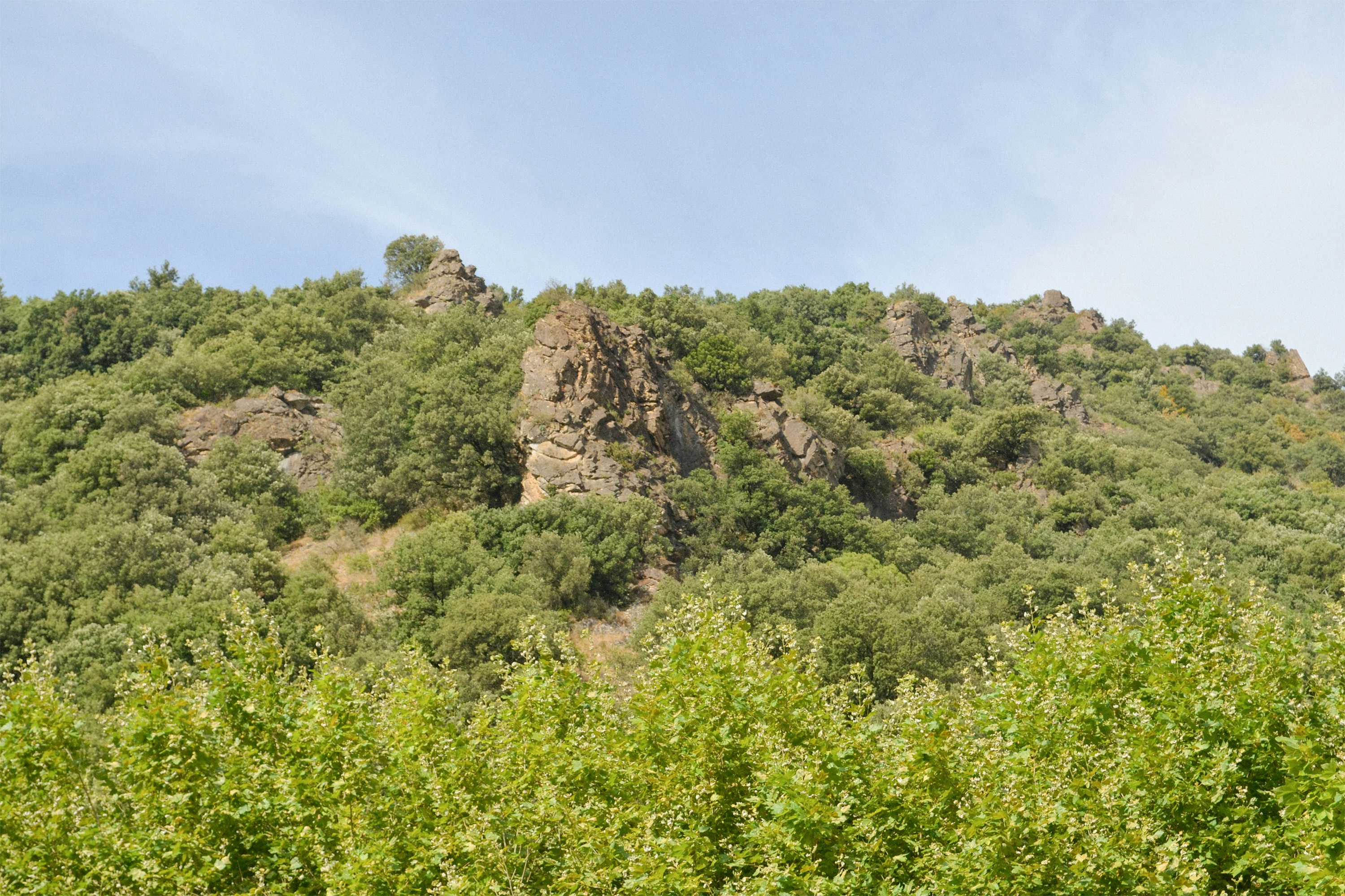 Rocky outcrop on a tree-covered hillside under a blue sky.