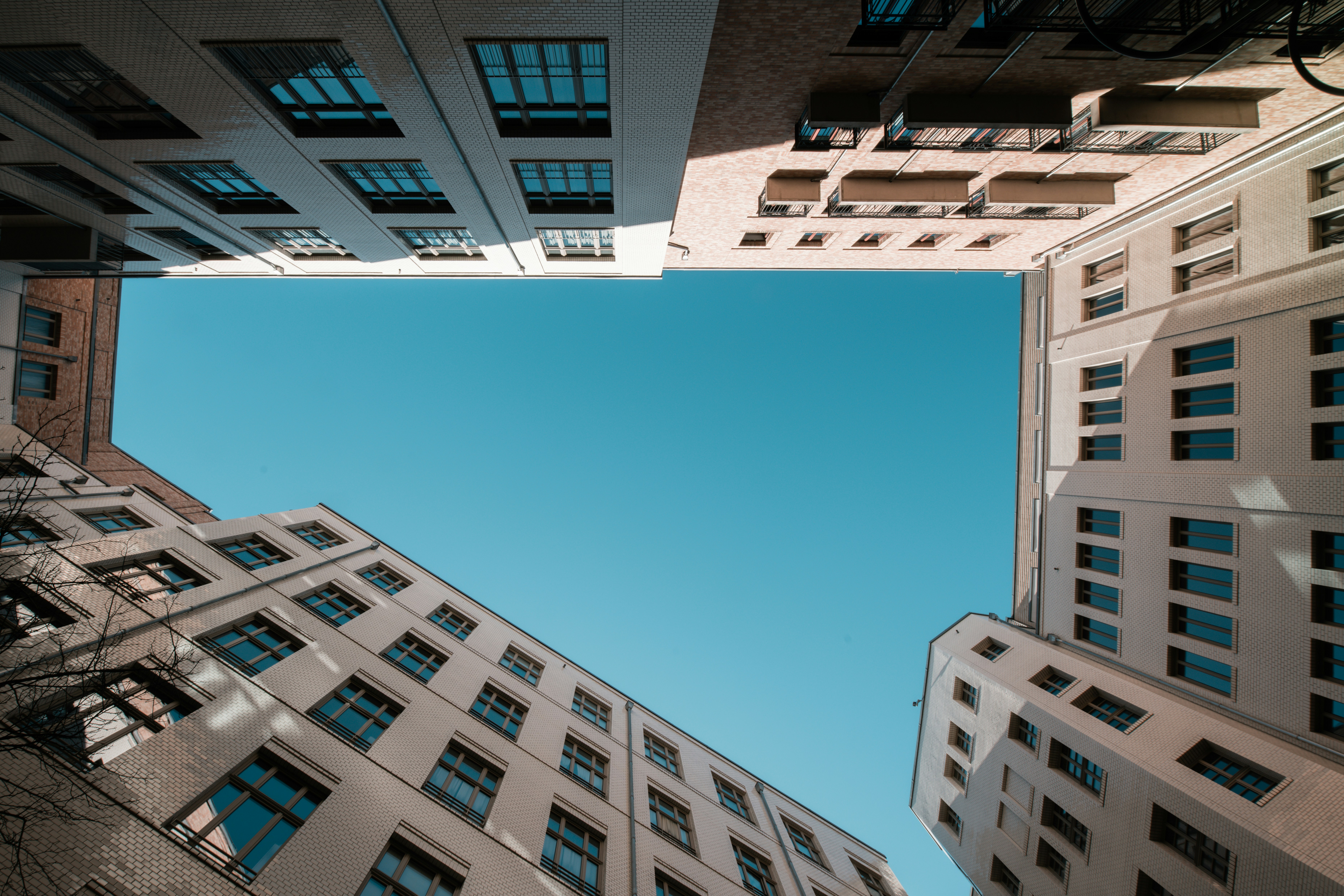 Photo by hamburgmeinefreundin