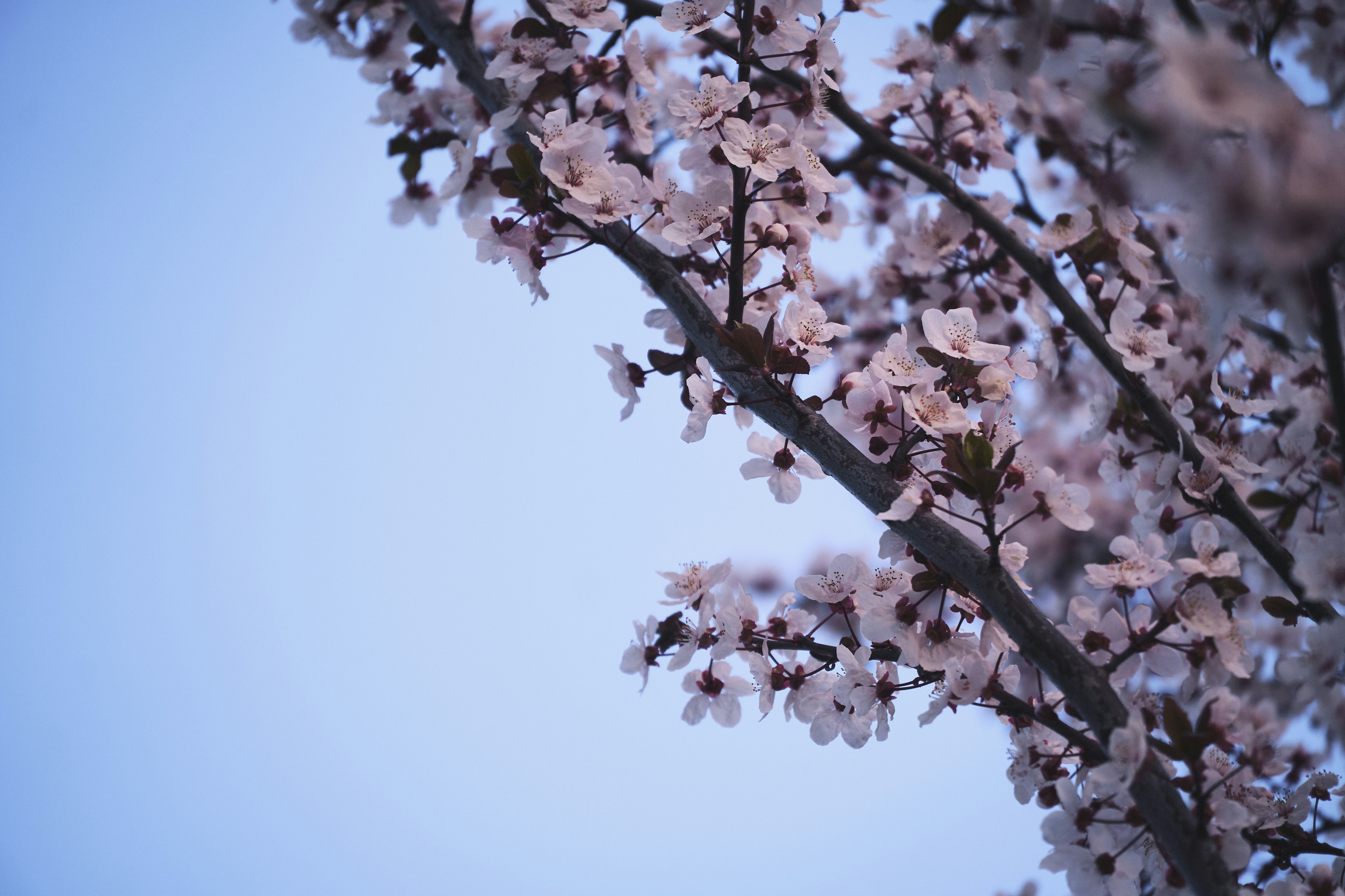 Photo by mikhailrepin