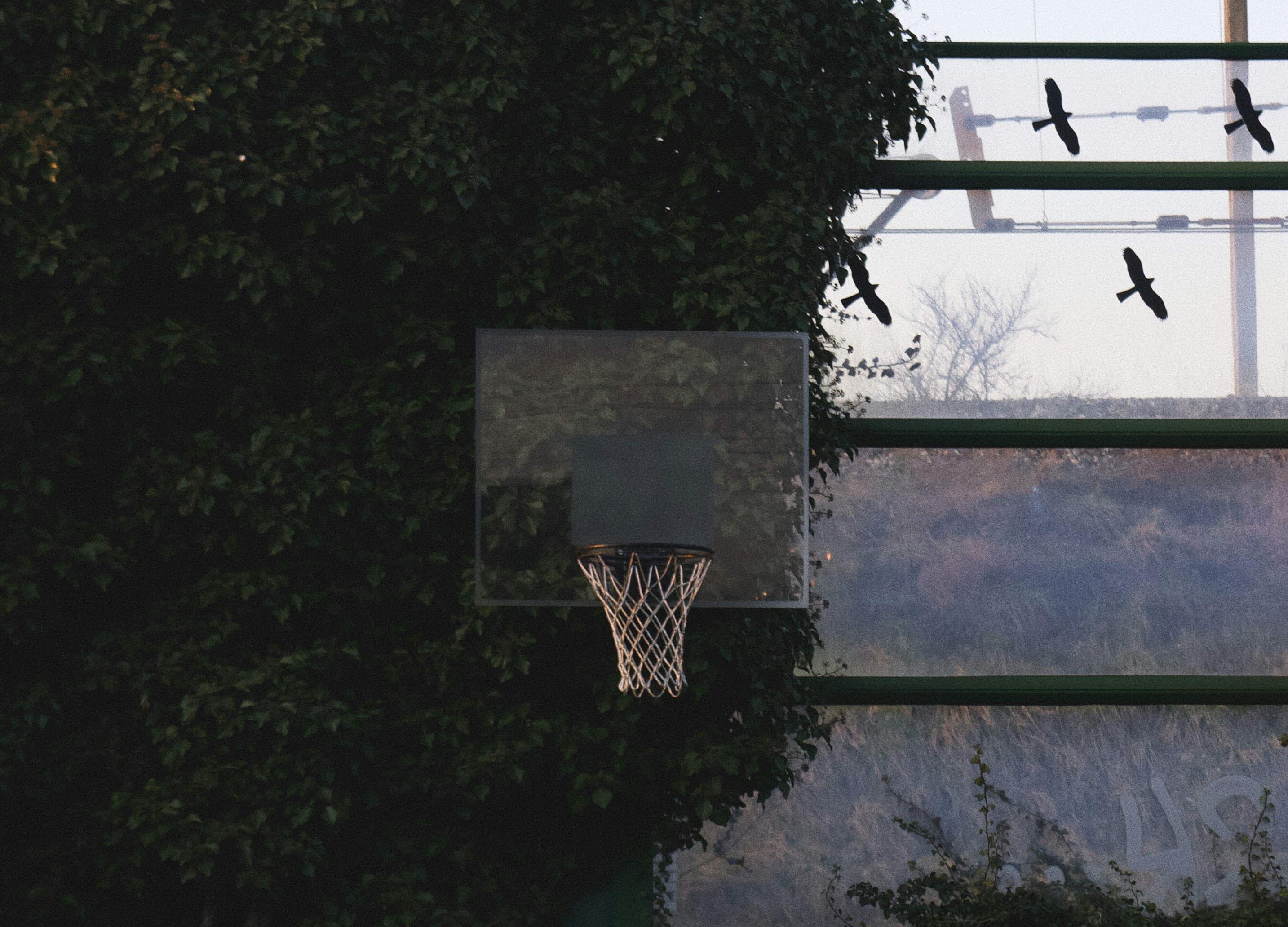 Kompromitacja Górnika Wałbrzych. Przegrana z Dąbrową o 30 punktów