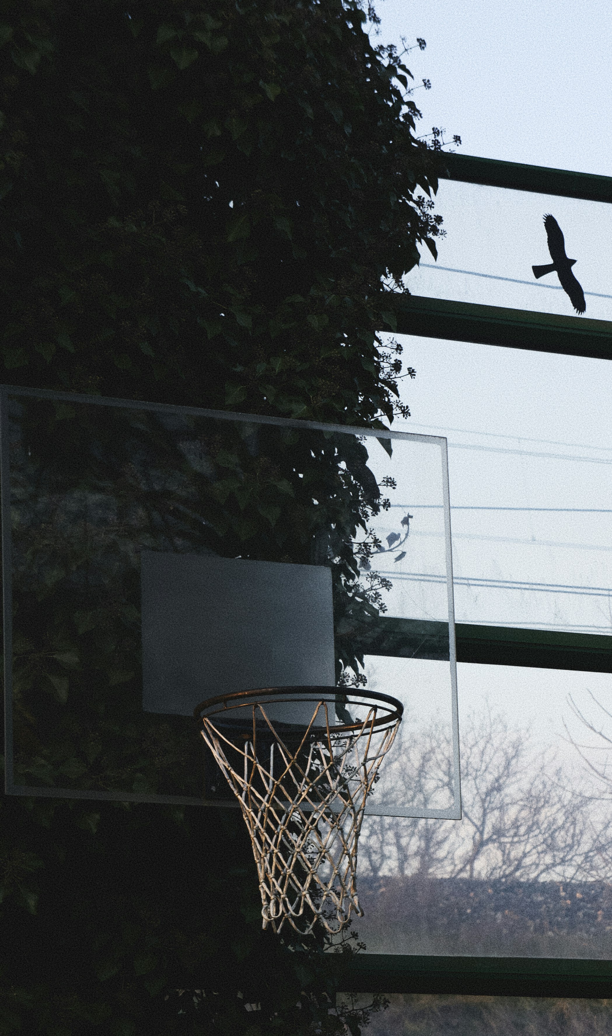 Photo by marcin_wrob_photo