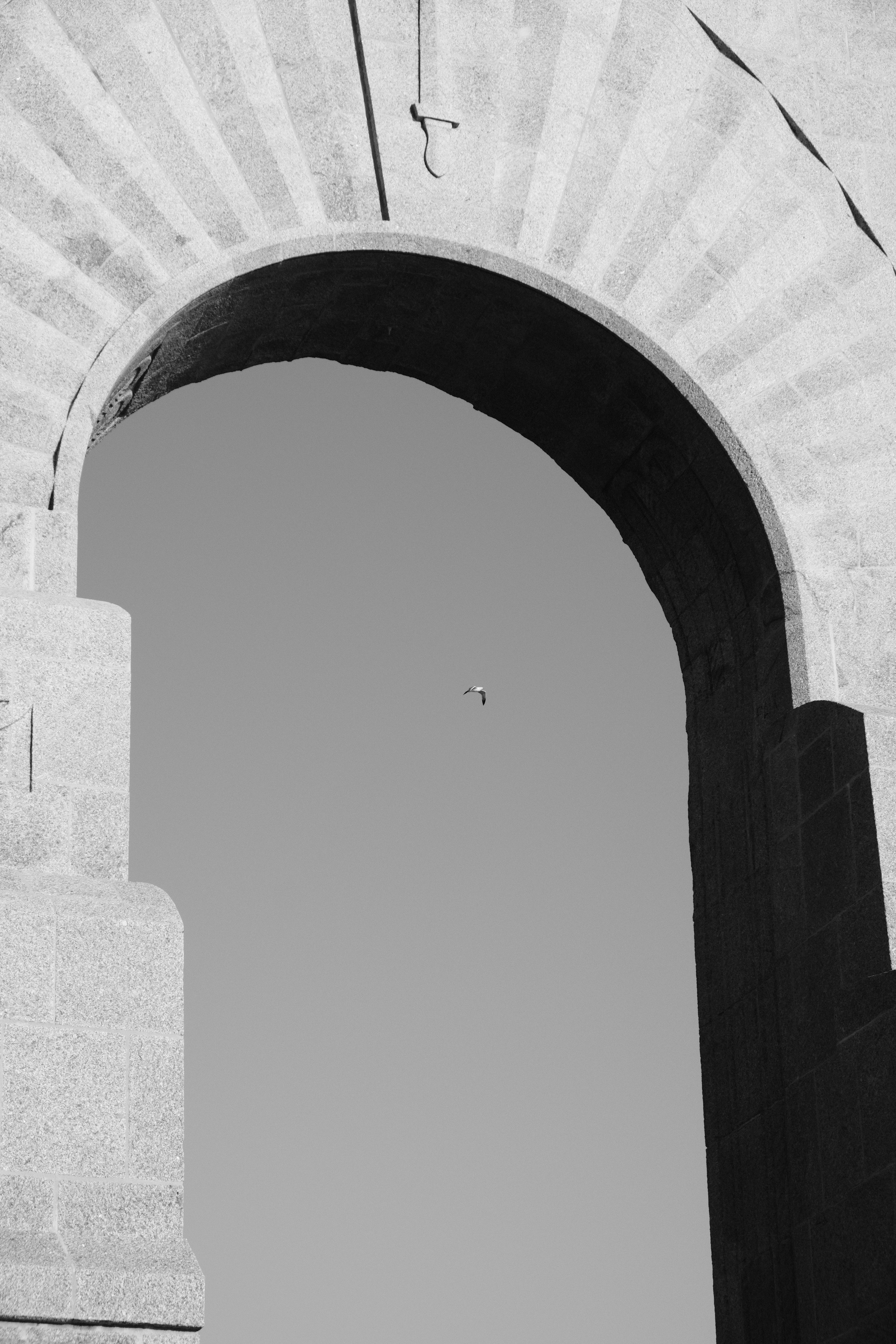Photo by rosaliegdy