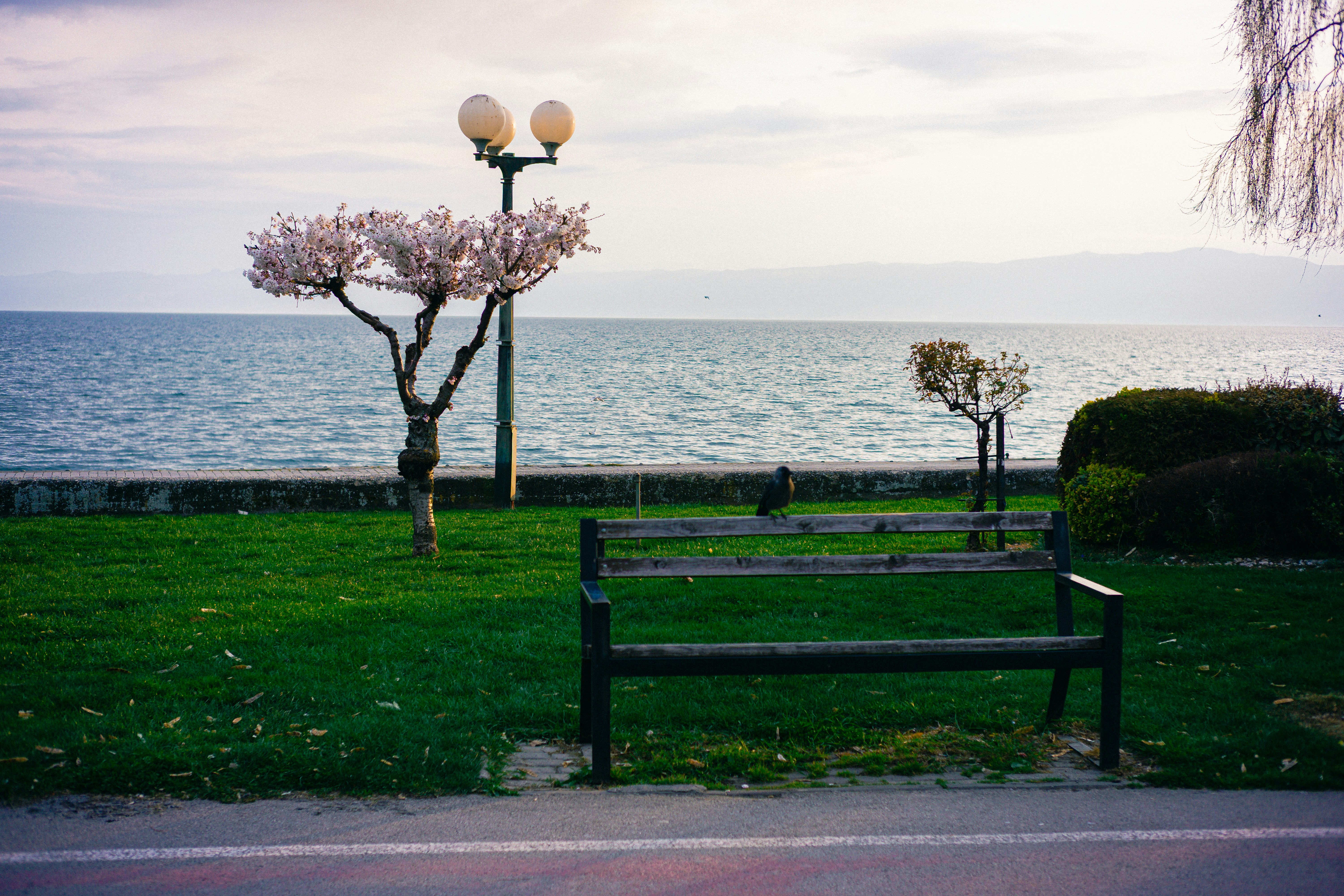 Cherry Street Park