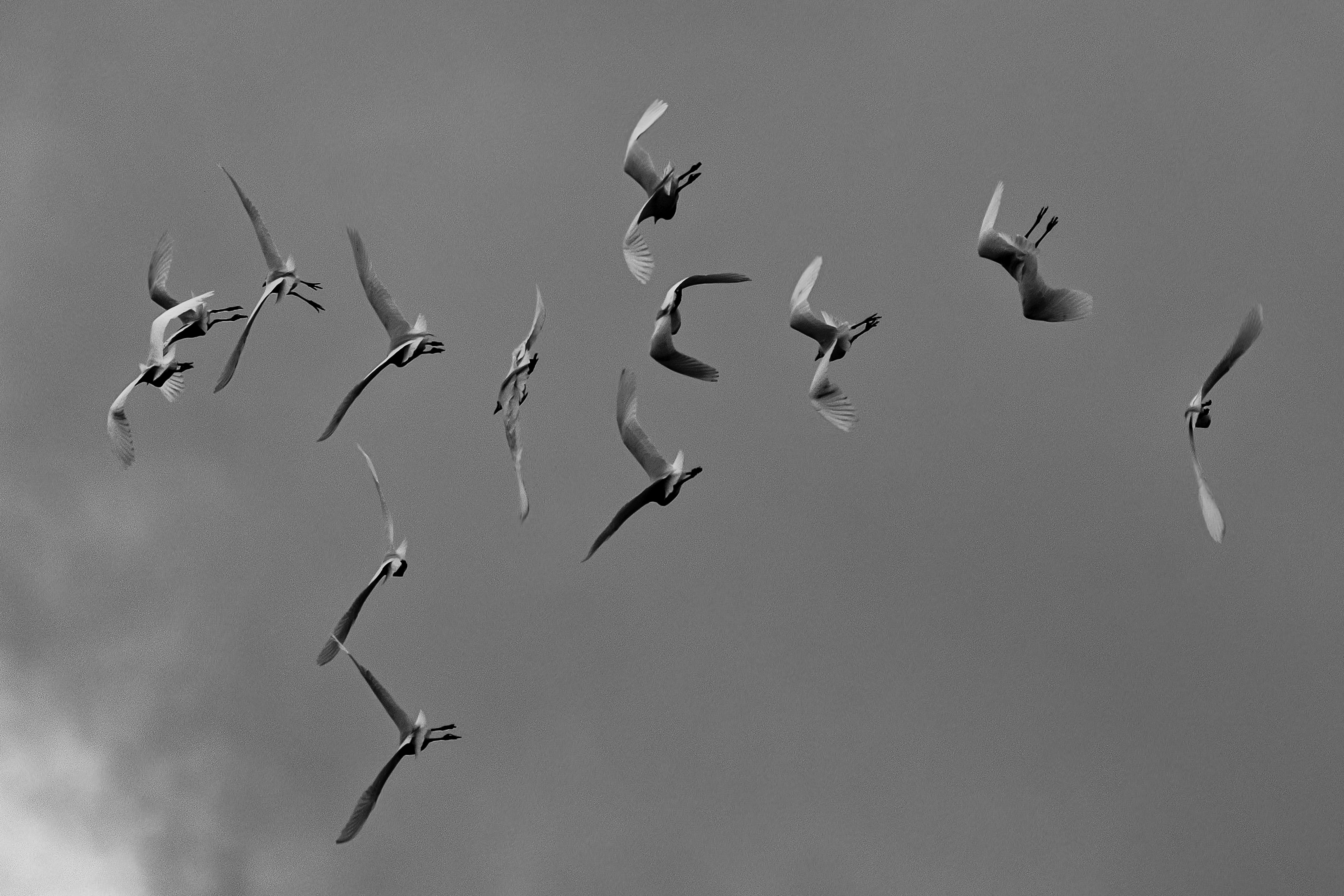 Photo by artenico