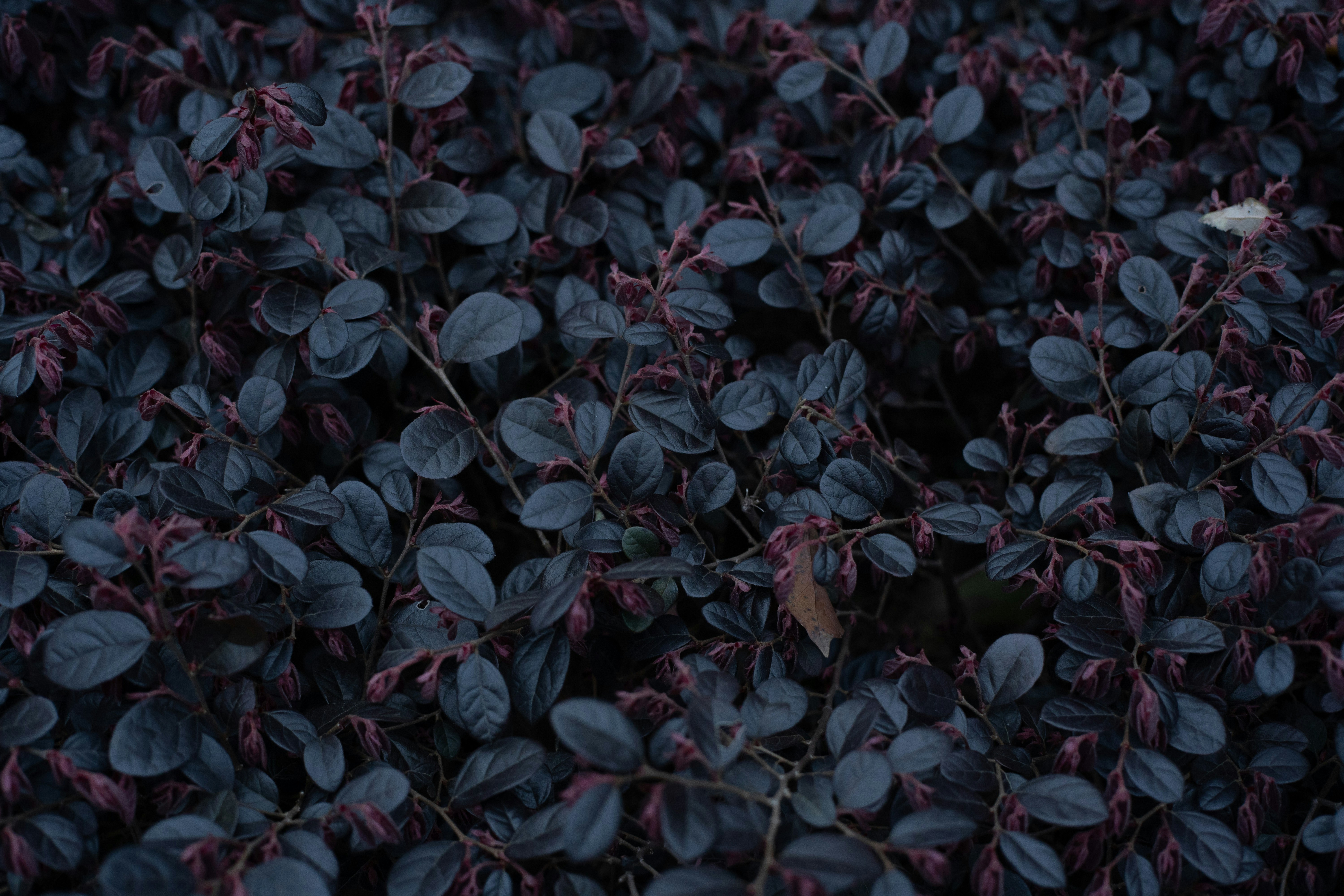 Photo by gchease