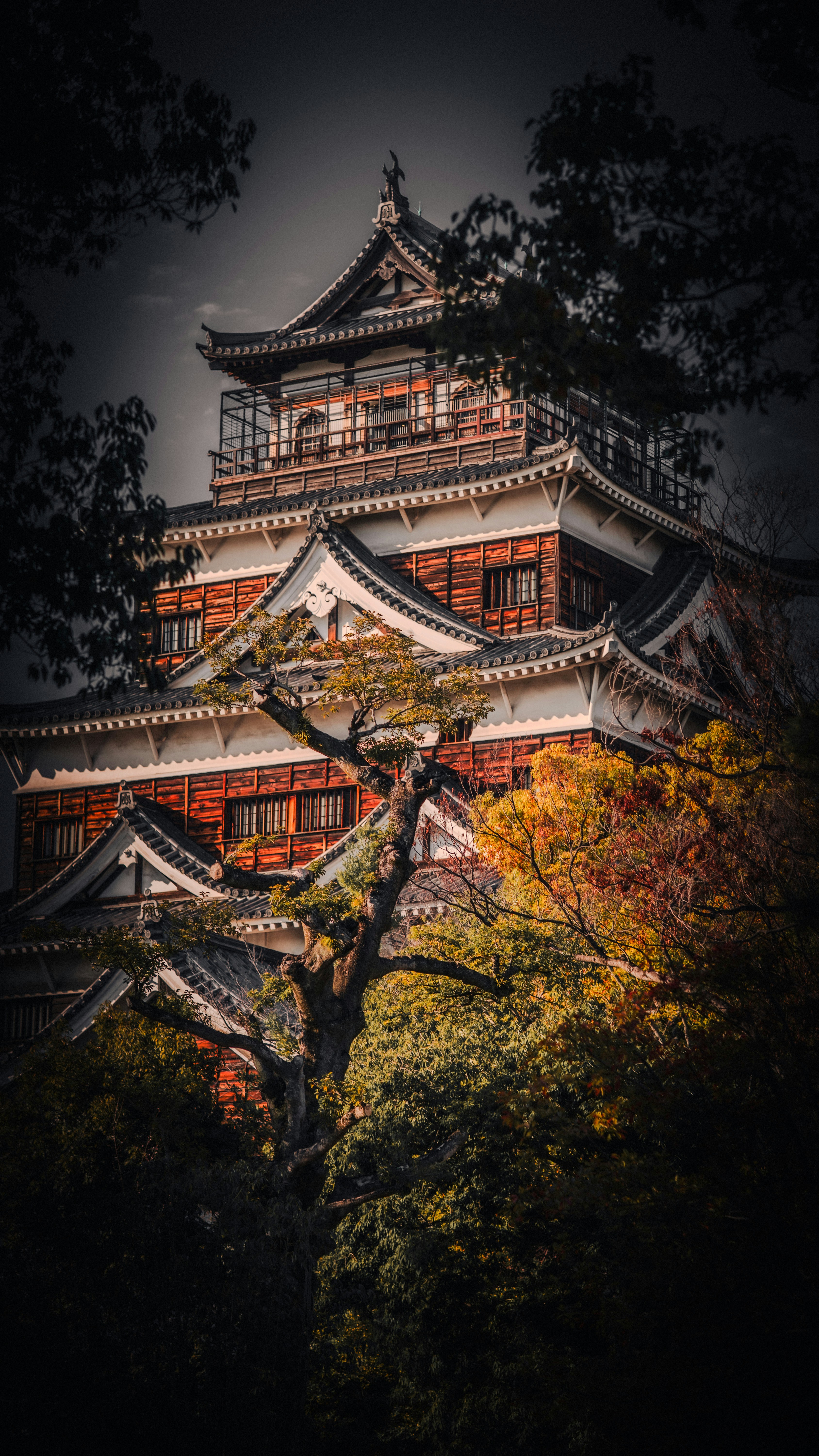 Photo by beans4k