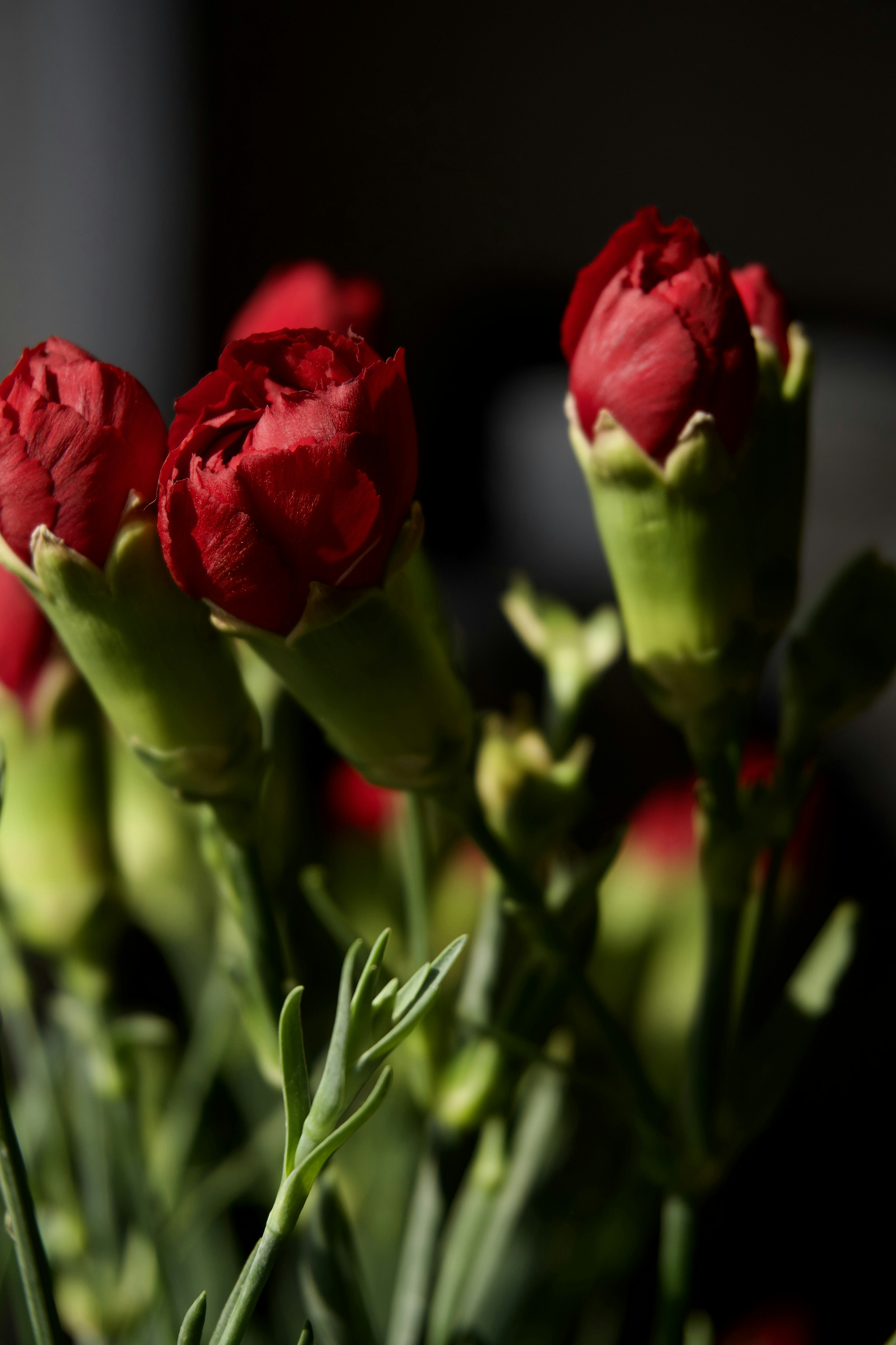 Photo by aliona_zahrai