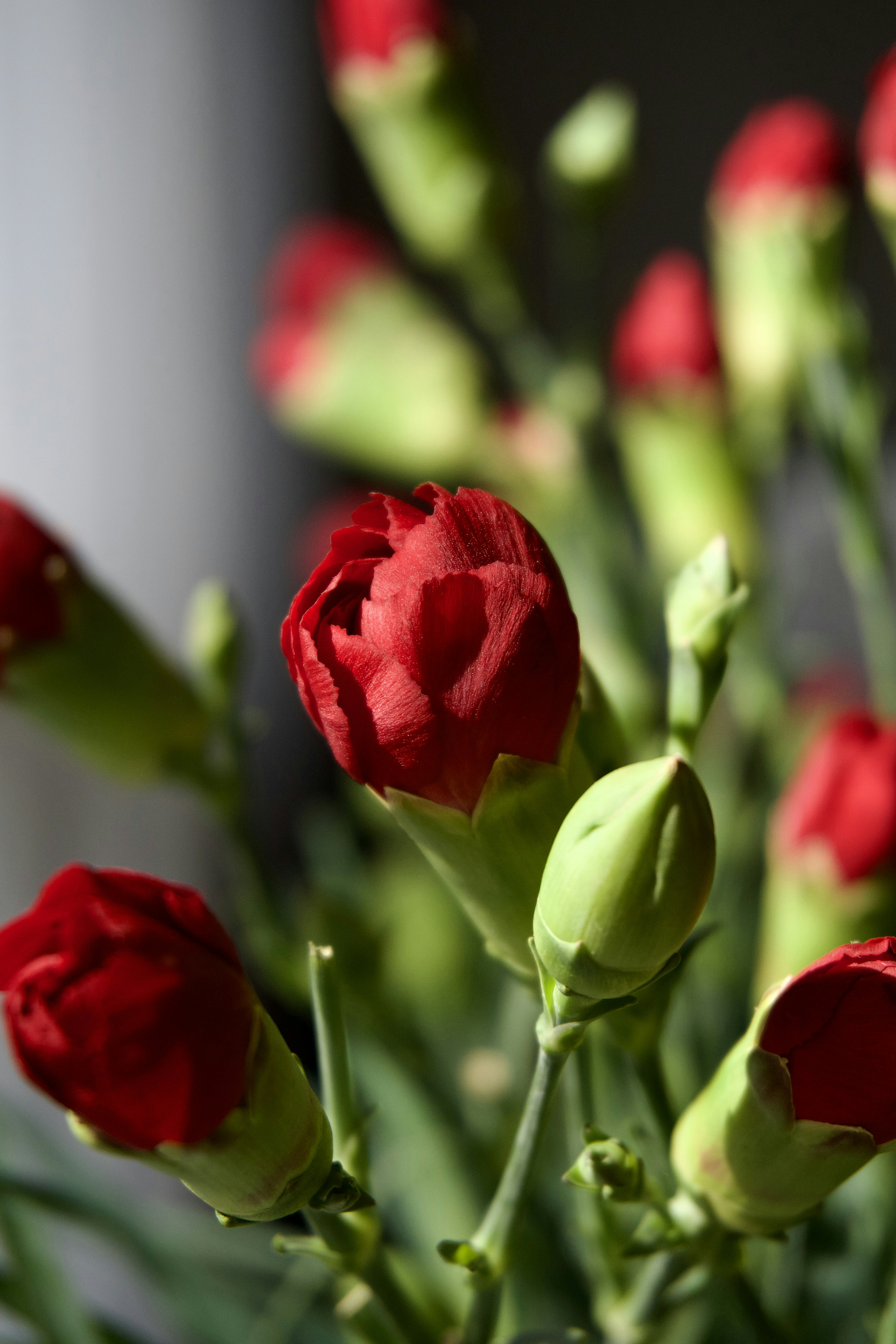 Photo by aliona_zahrai