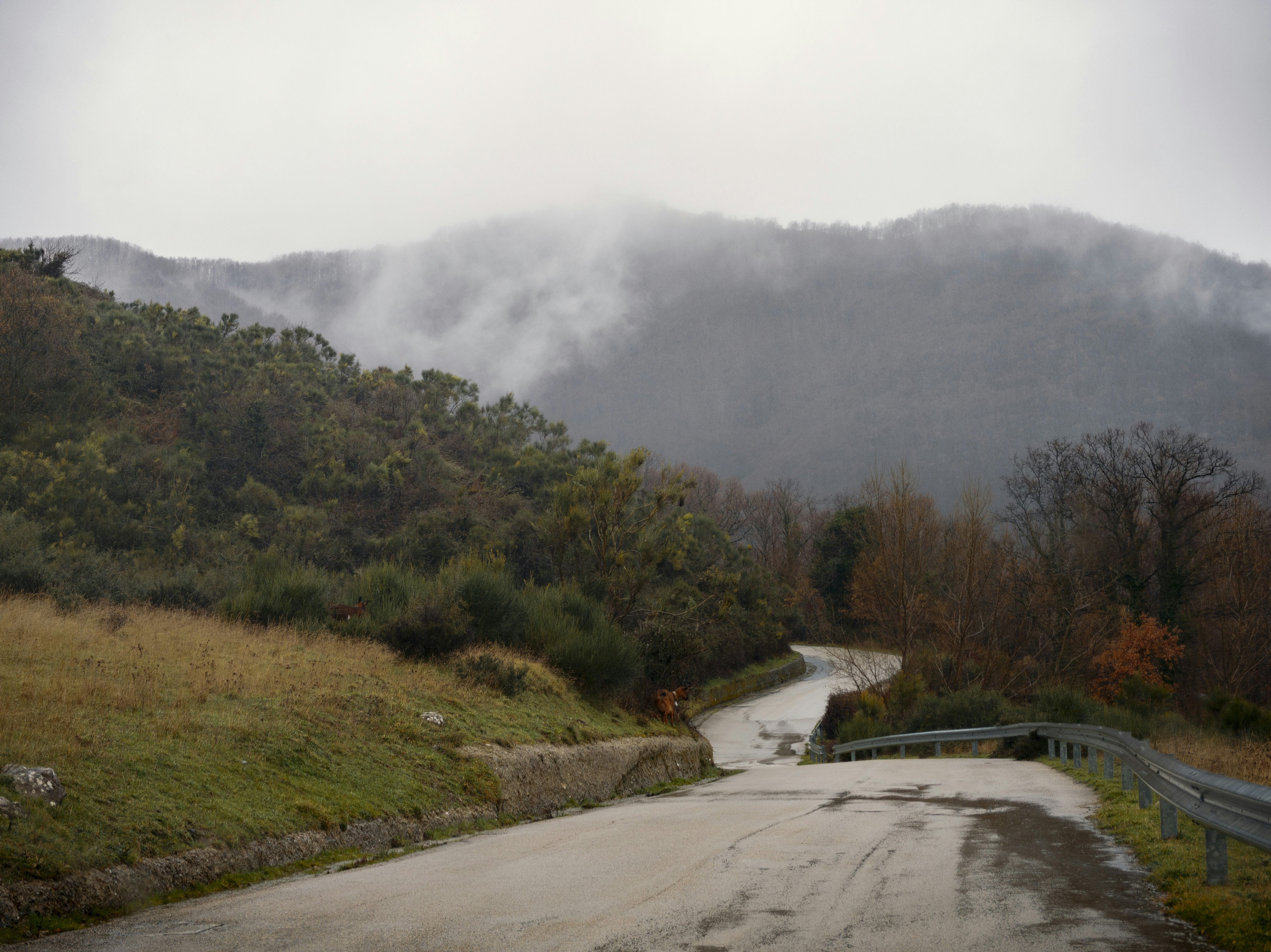 Weather in Sítio do Quinto: Best Time to Visit (2026)