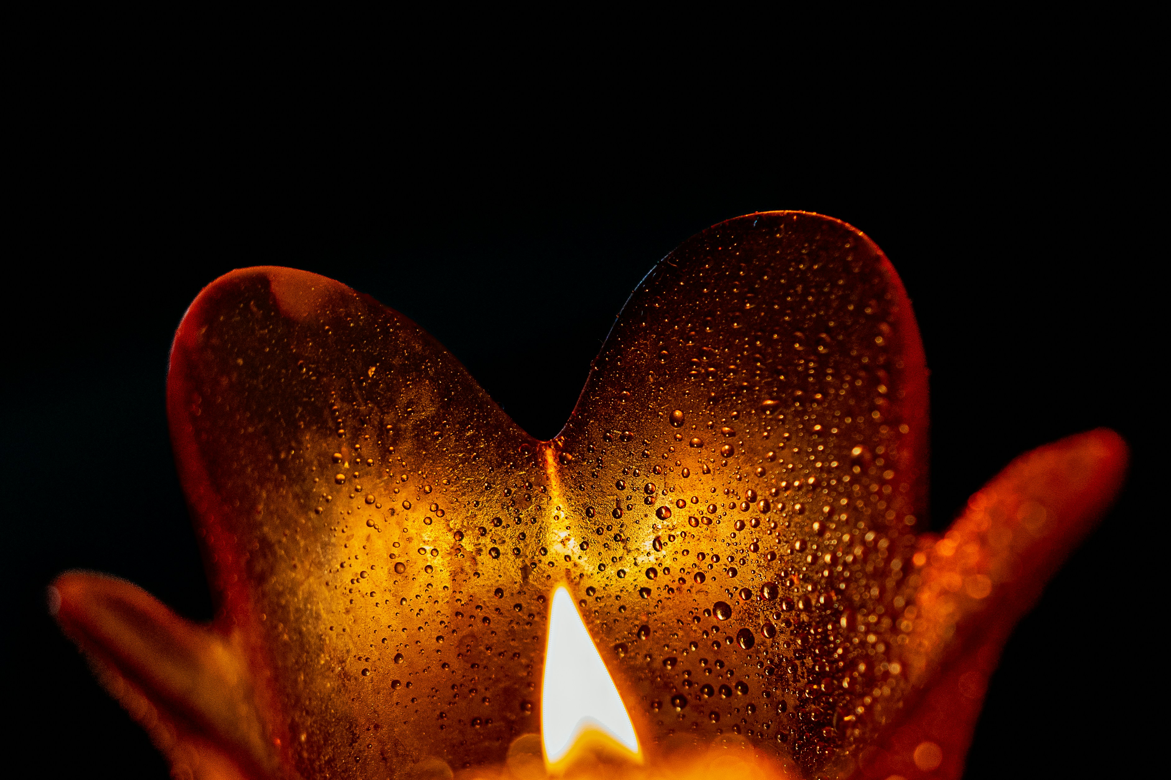 Close-up of a lit candle with water droplets