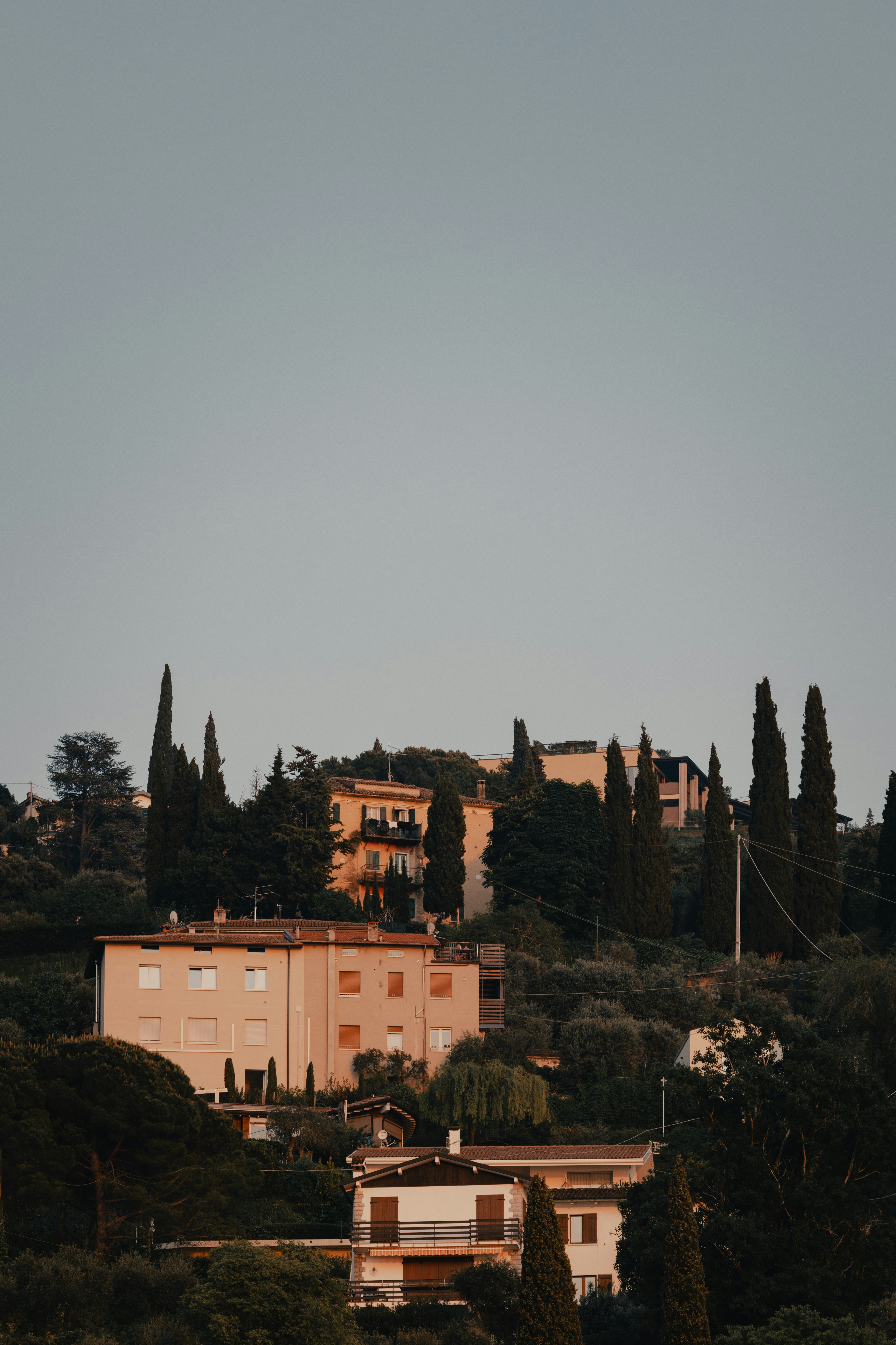 Photo by ssarasframes