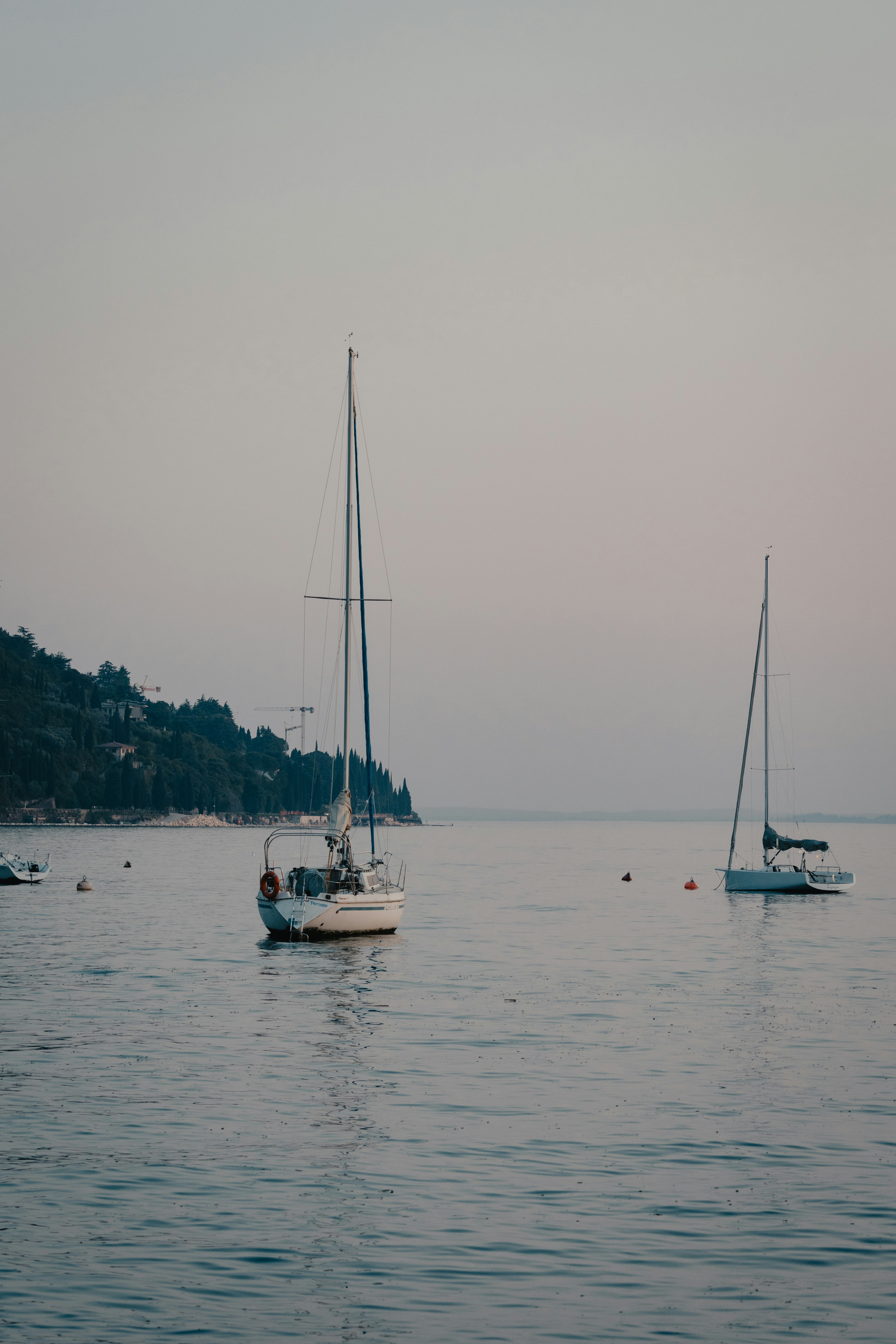 Photo by ssarasframes