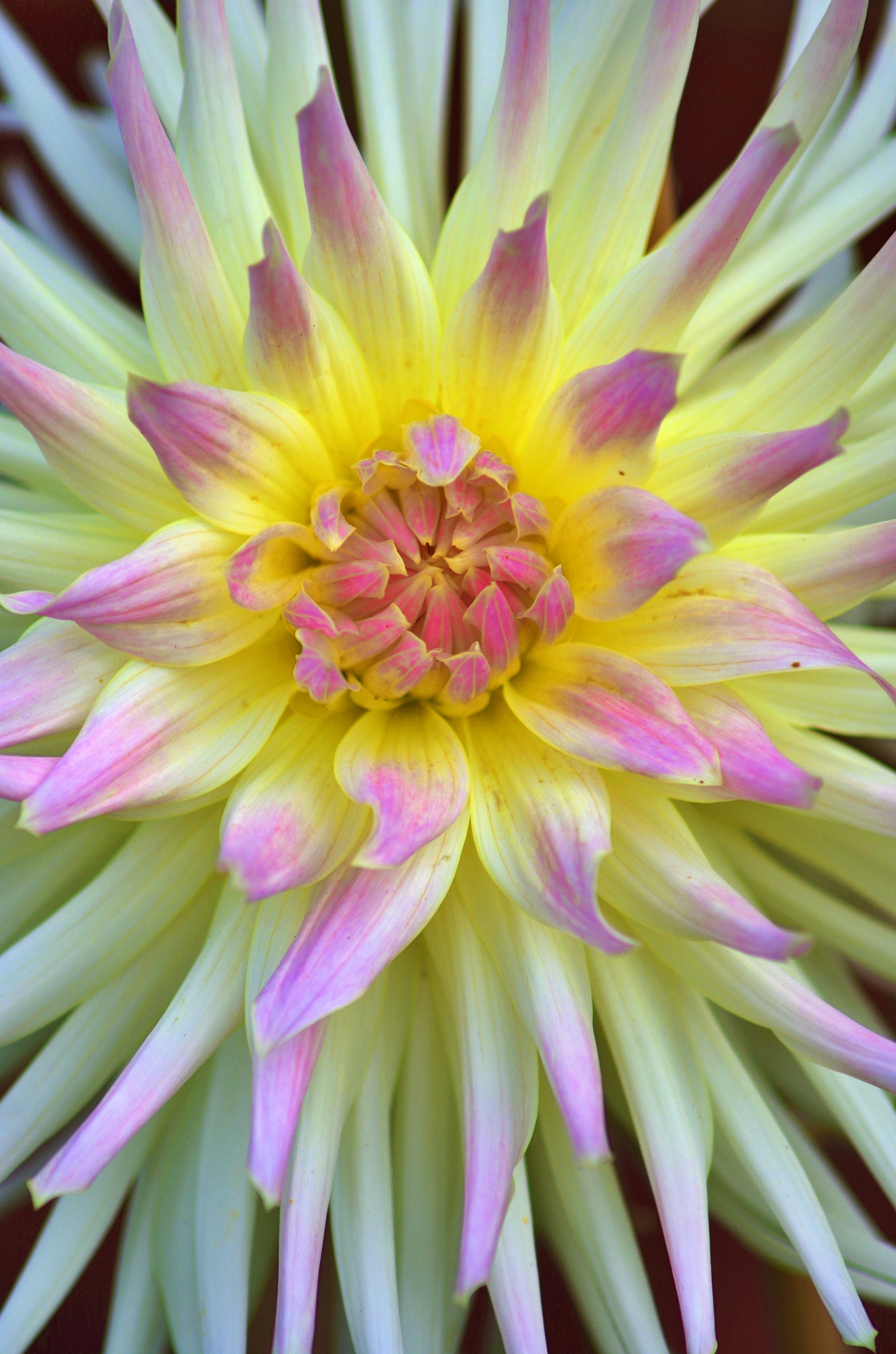 Photo by bondikitt987