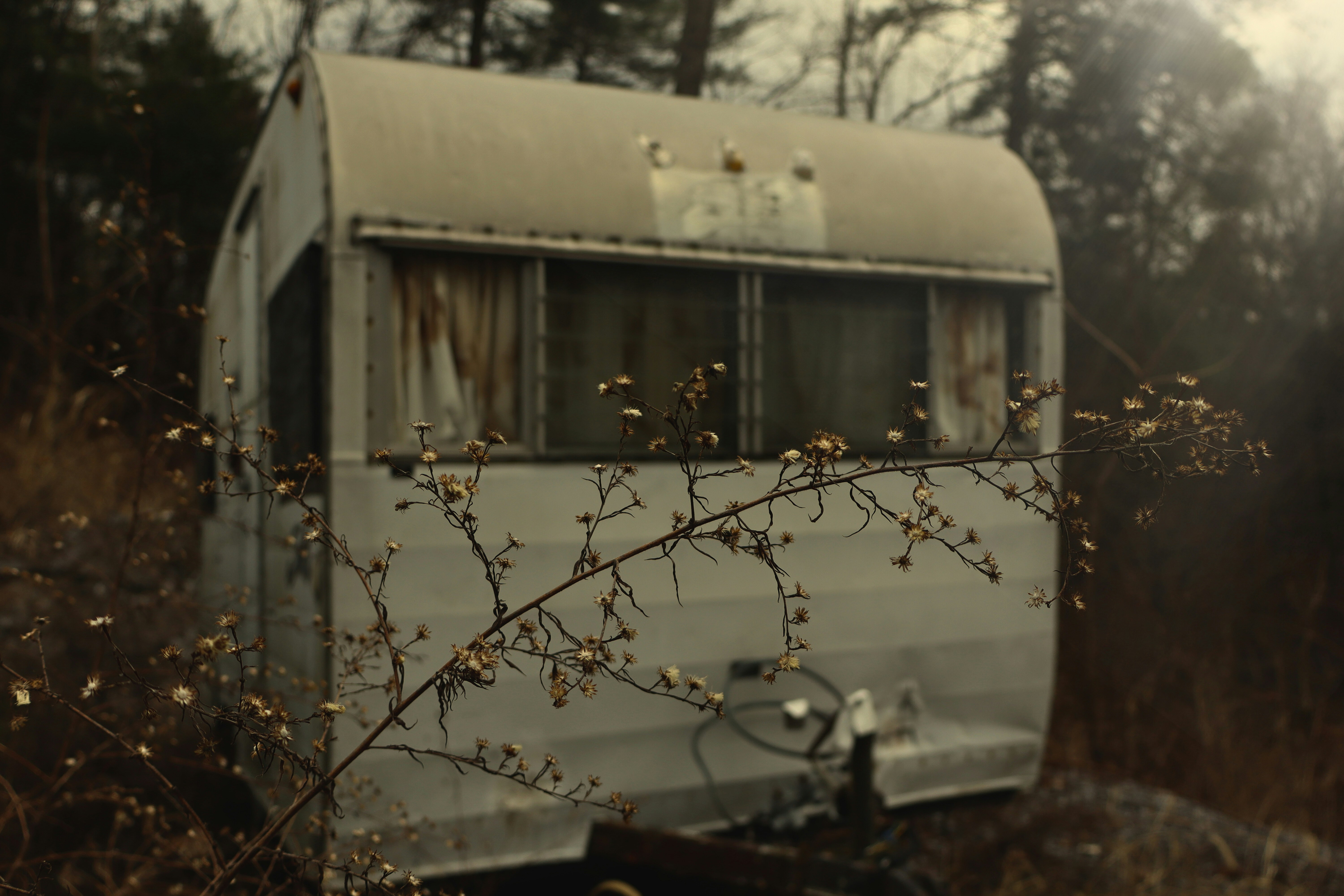 Photo by verucabjork