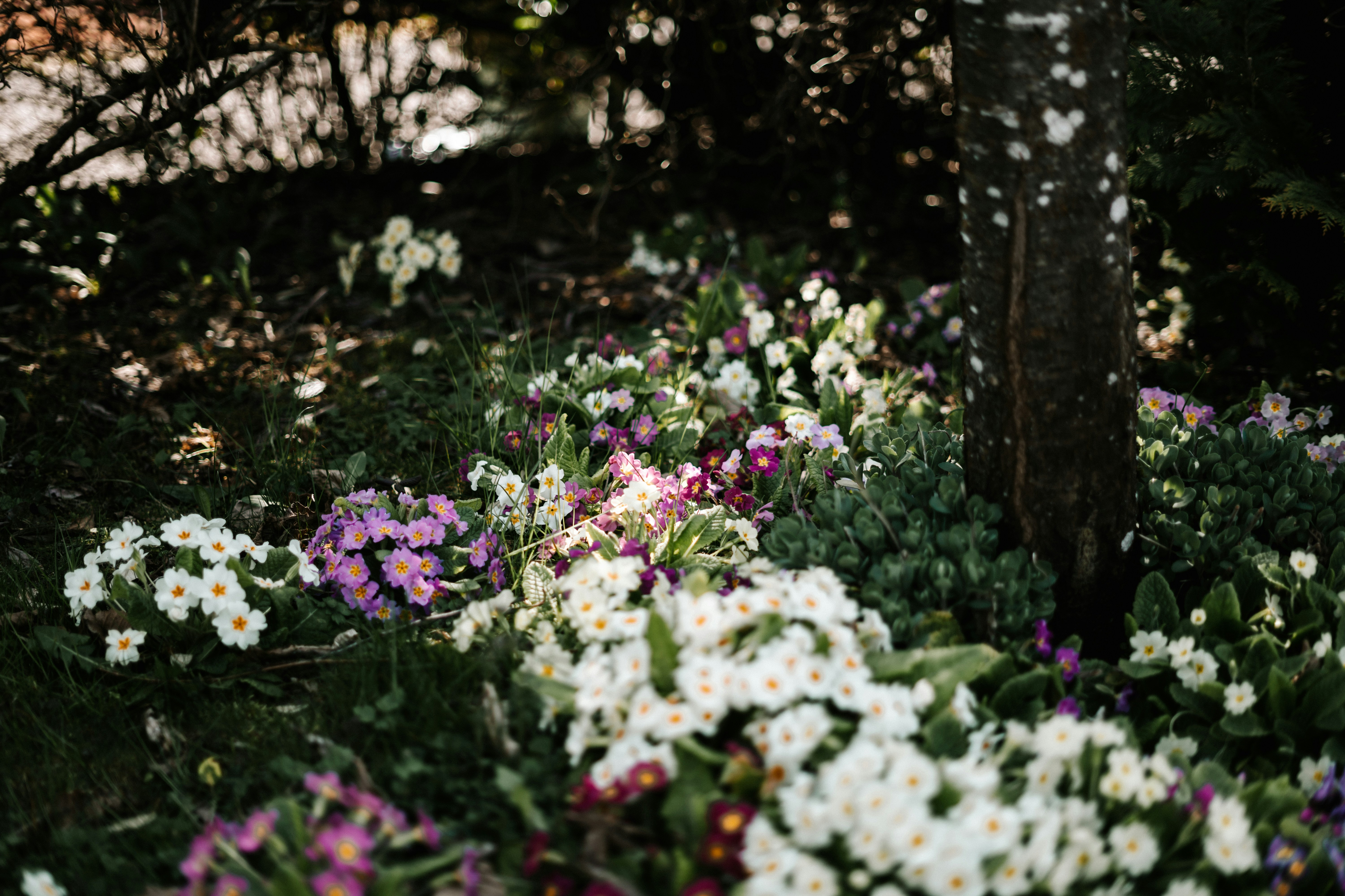 Photo by virussinside