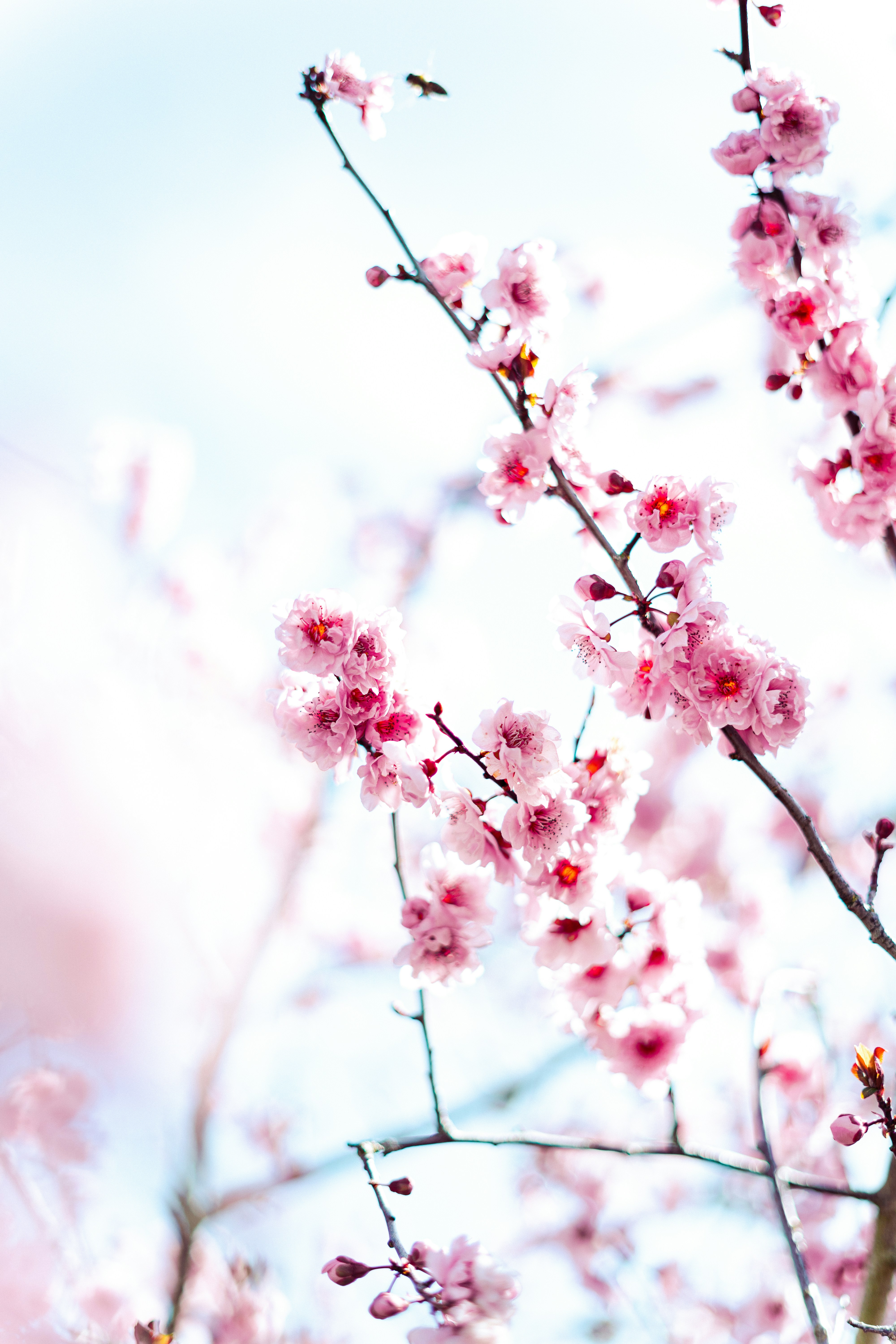 Photo by virussinside