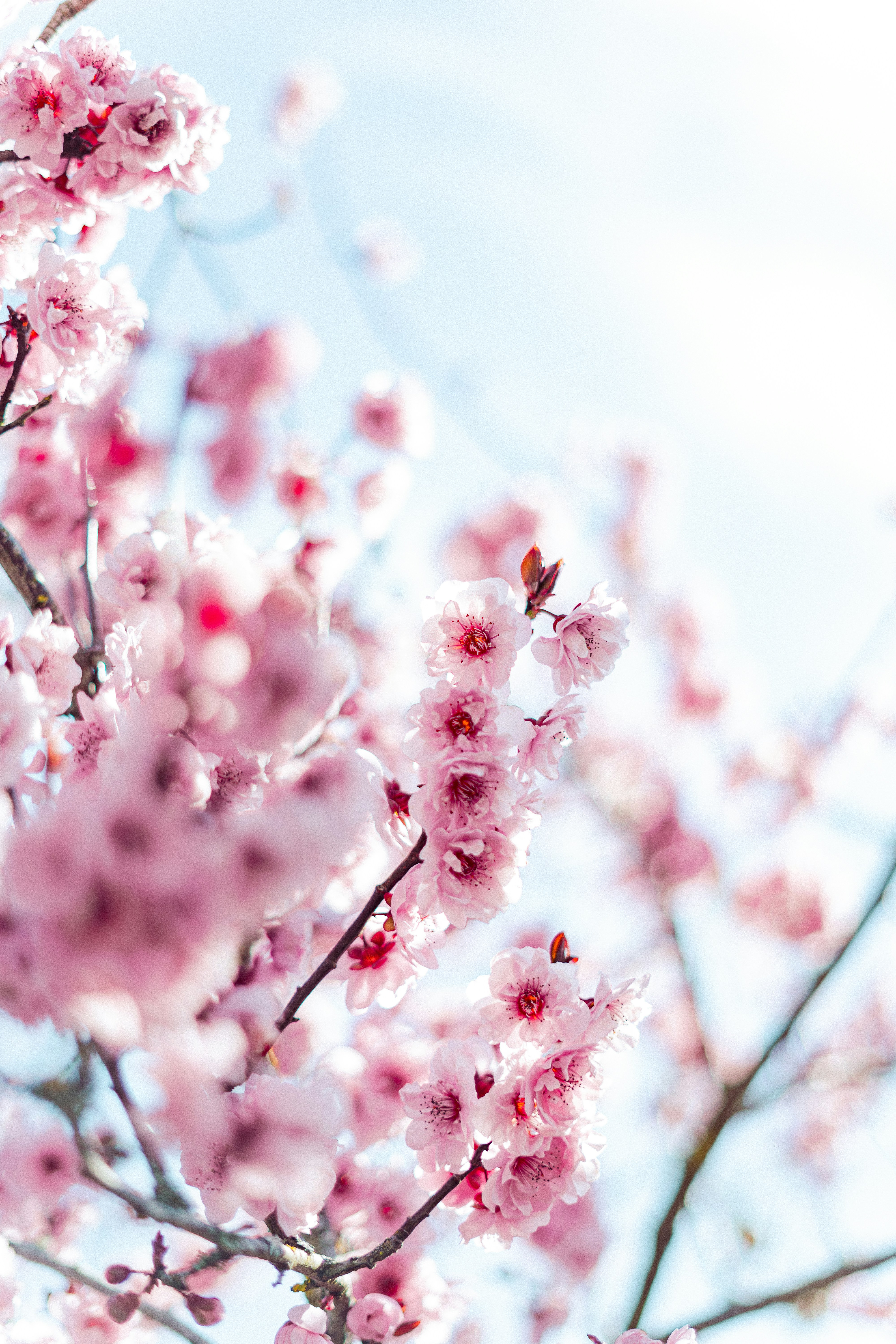 Photo by virussinside