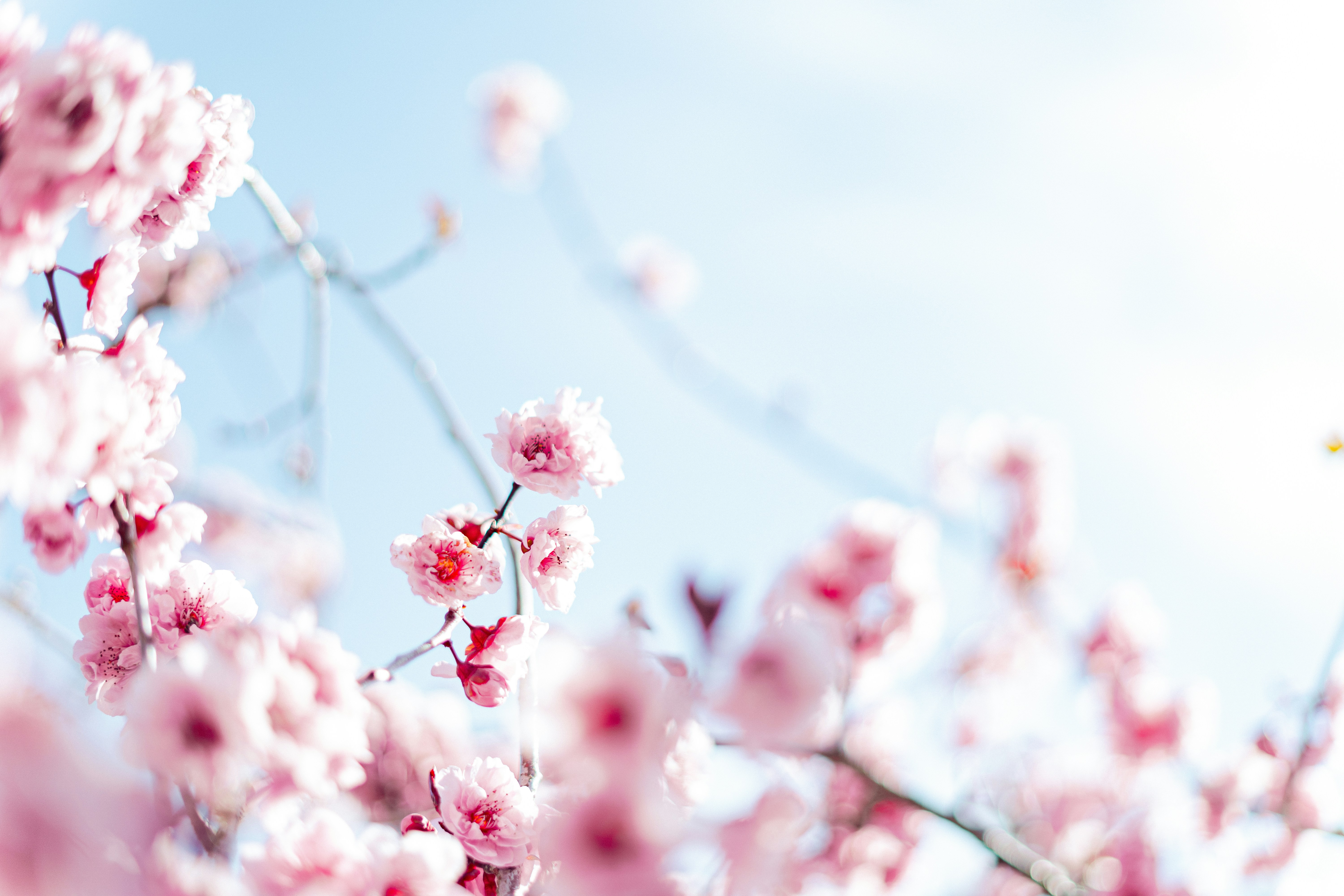 Photo by virussinside