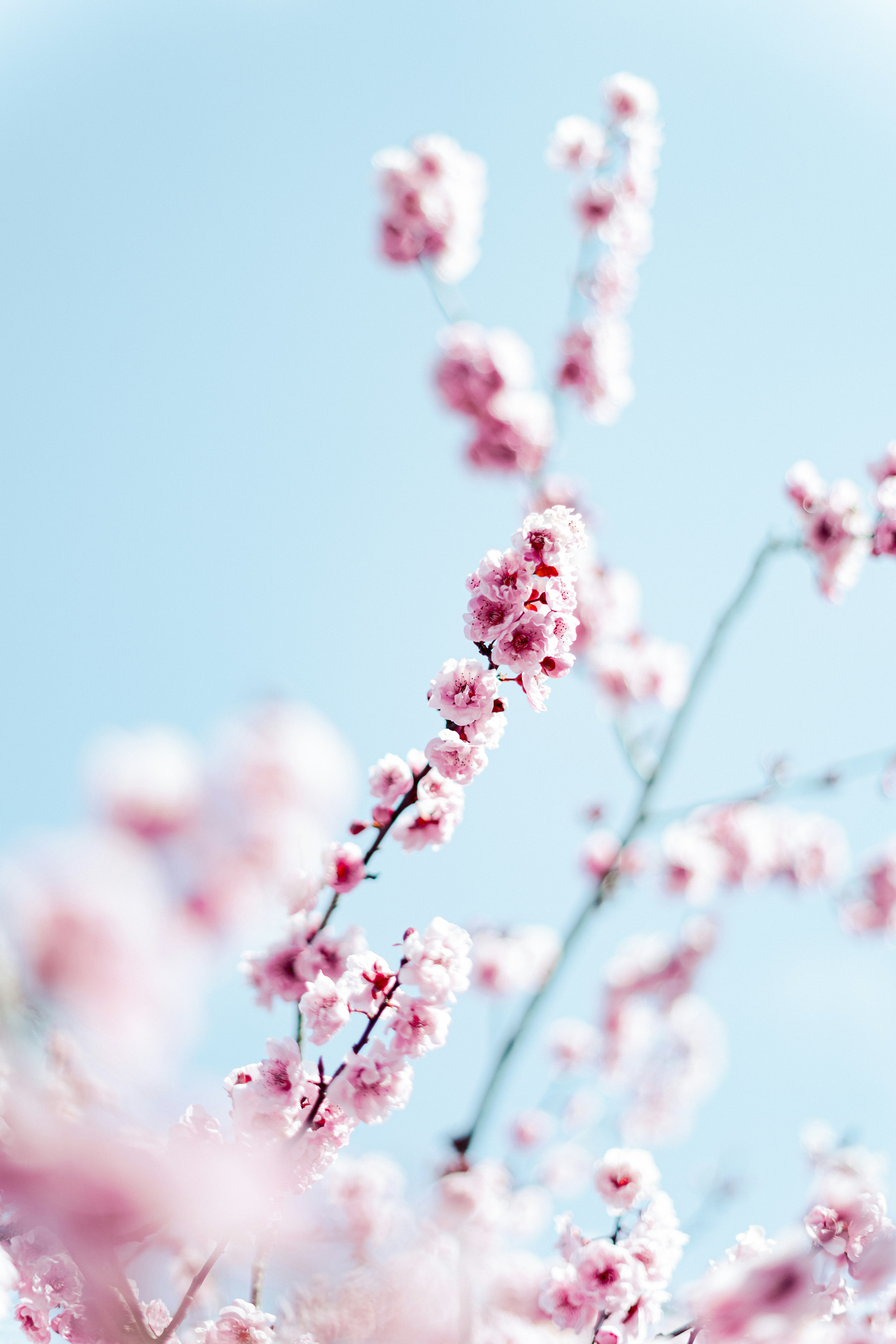 Photo by virussinside