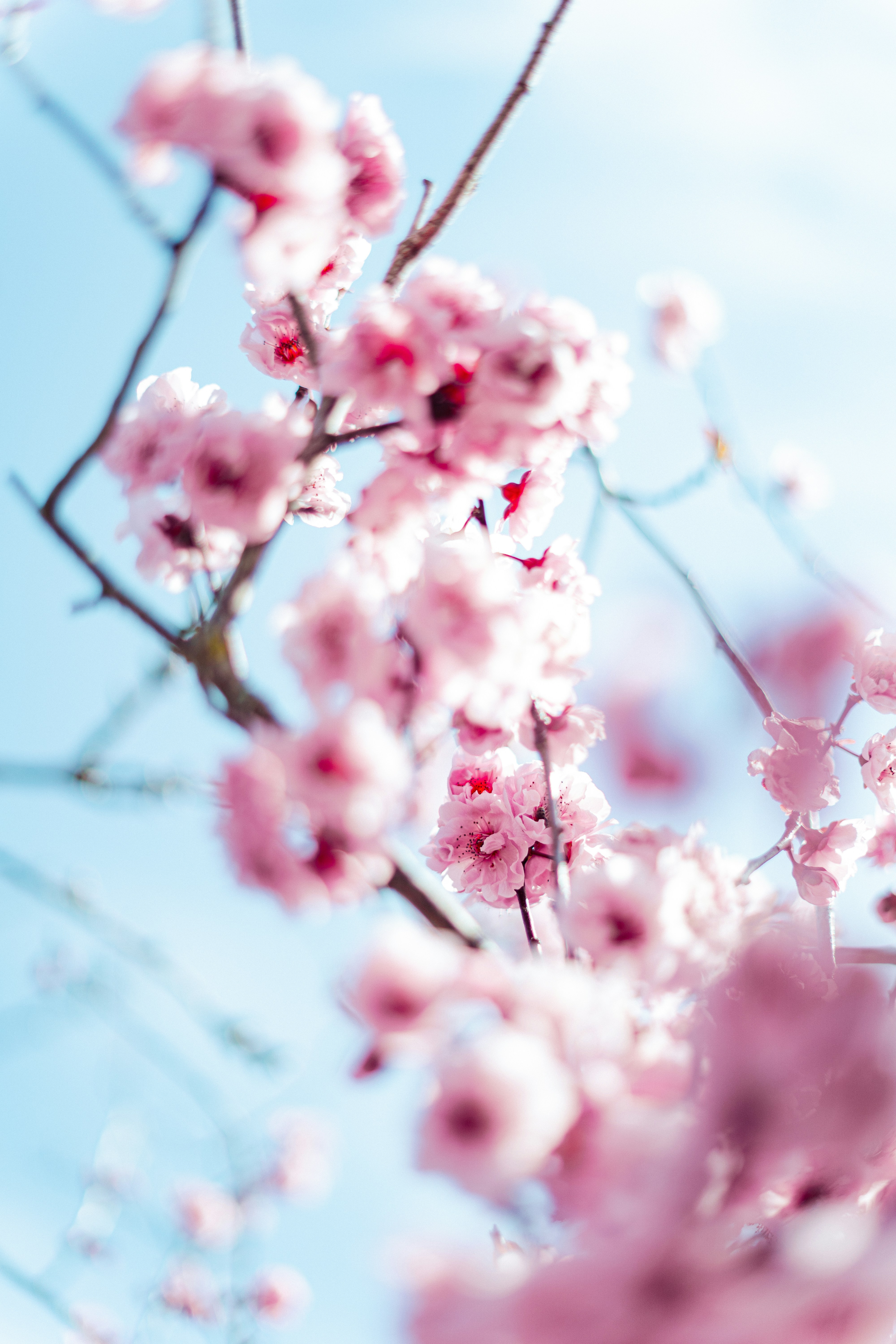 Photo by virussinside