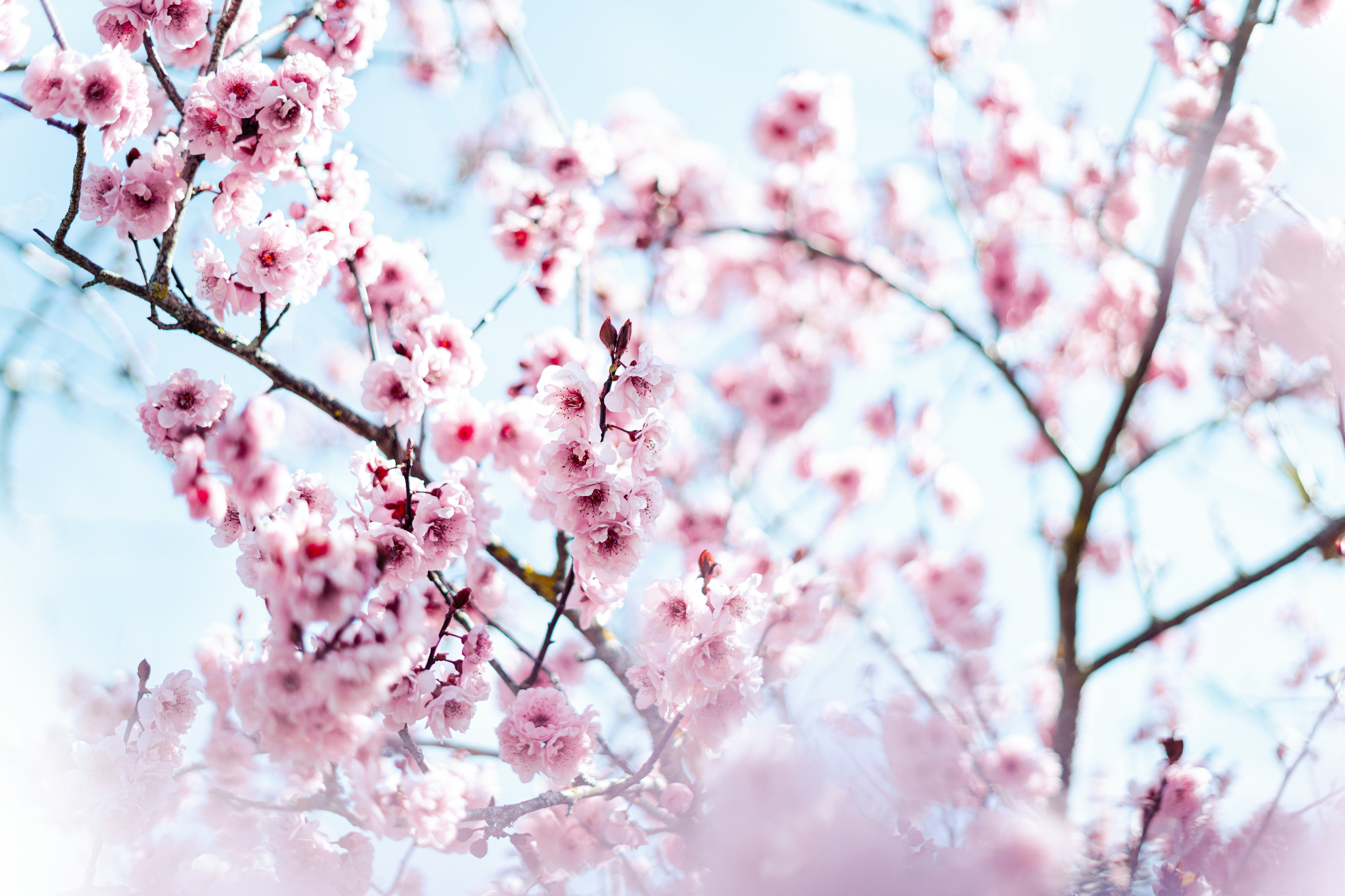 Photo by virussinside