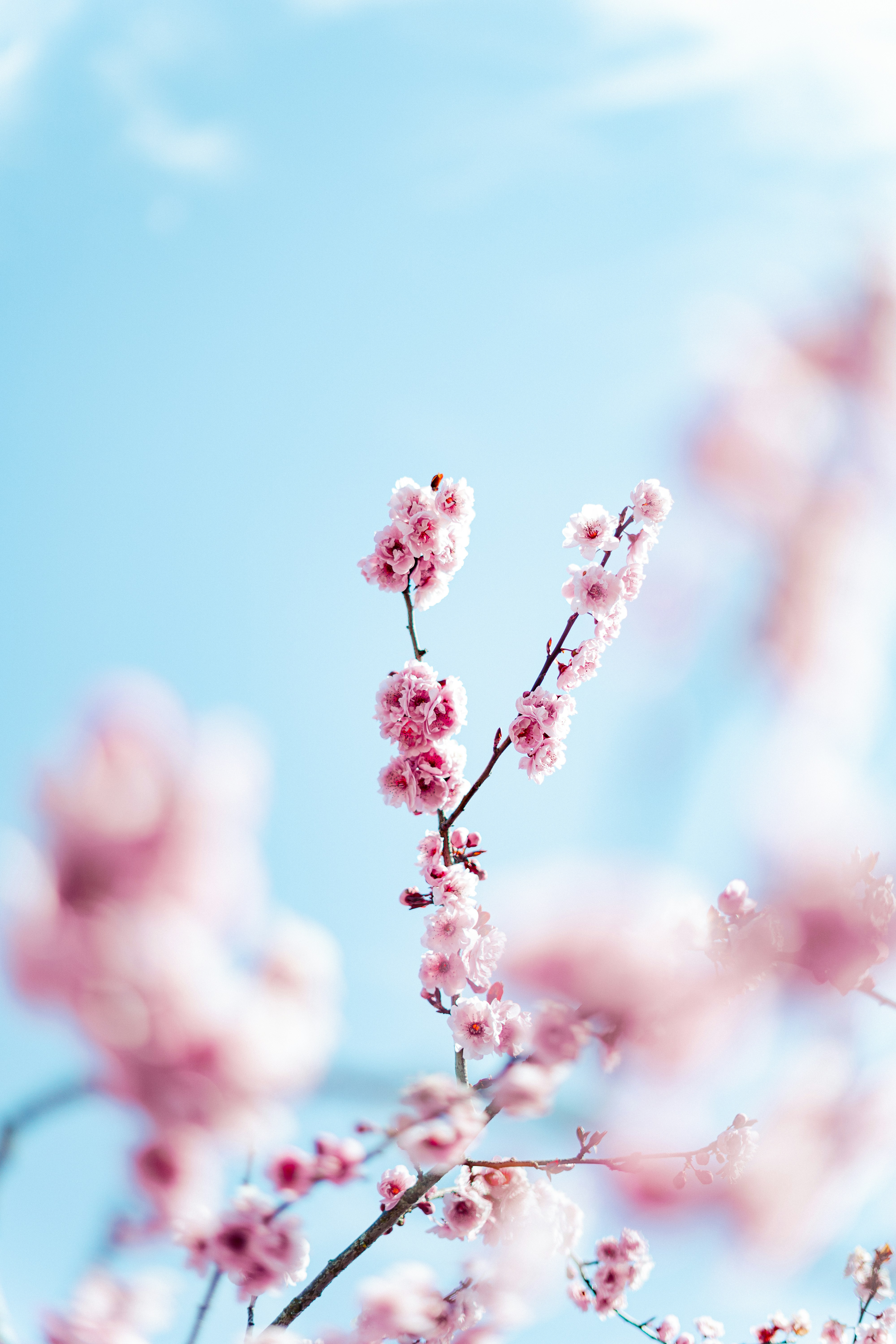 Photo by virussinside