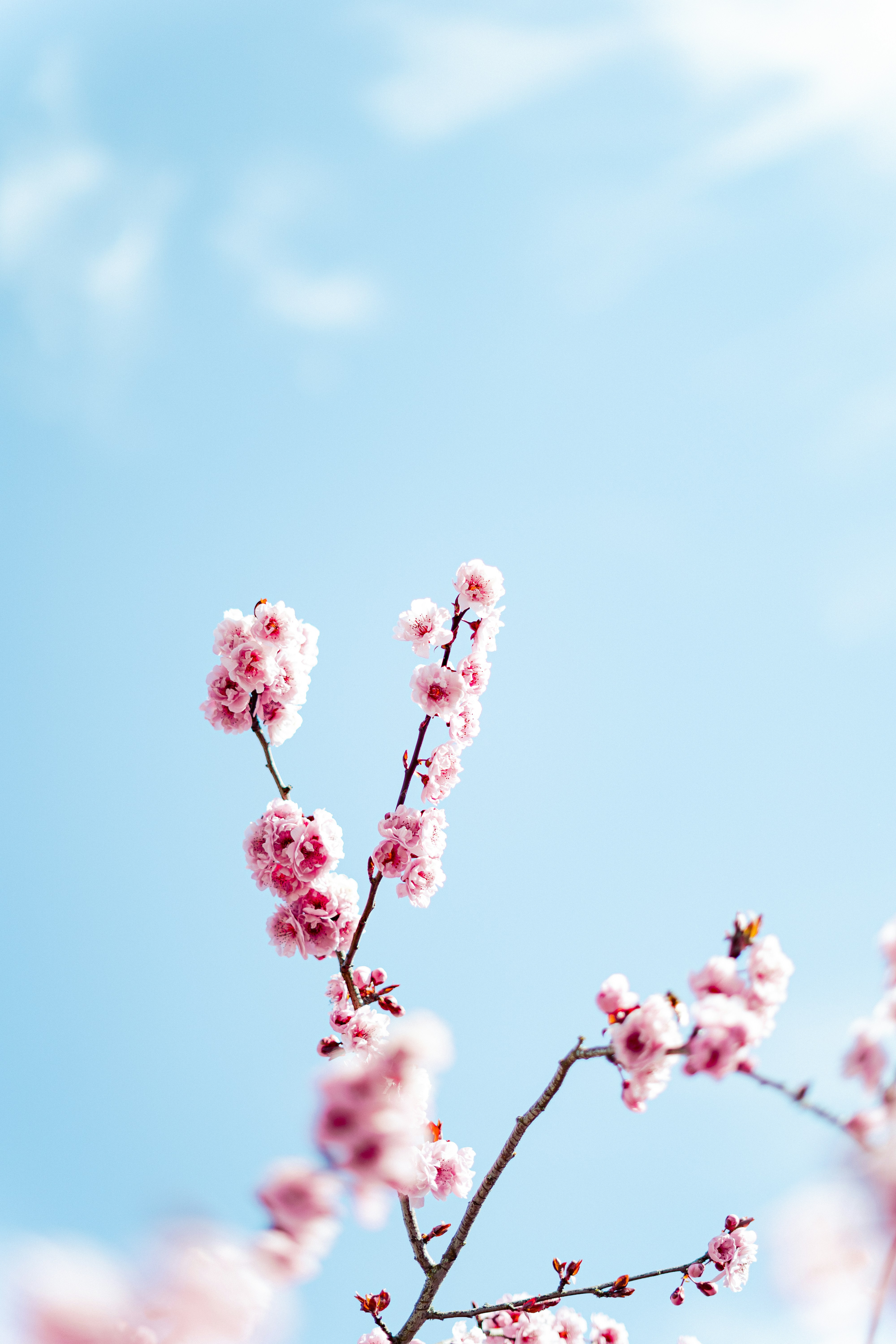 Photo by virussinside