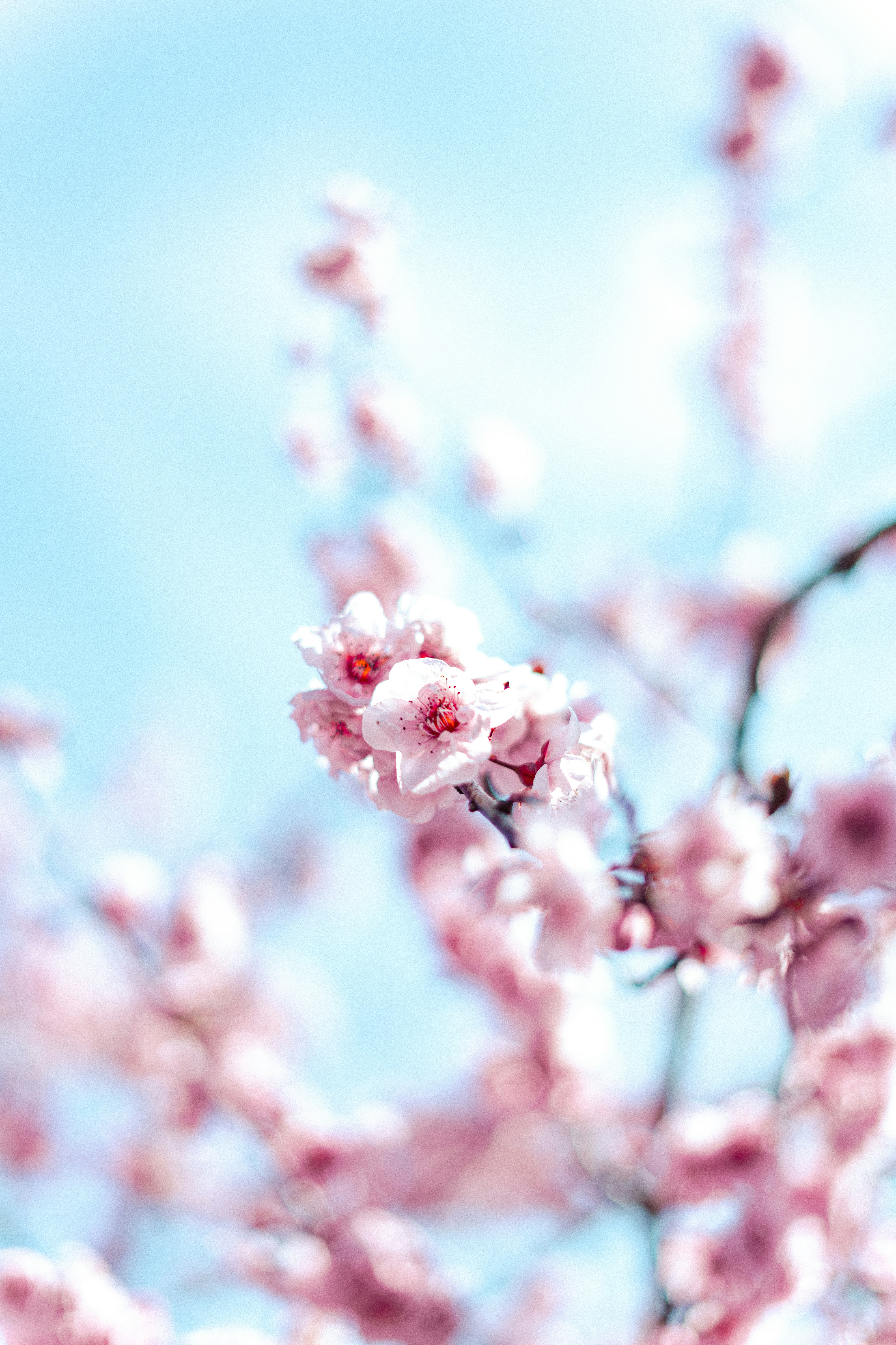 Photo by virussinside