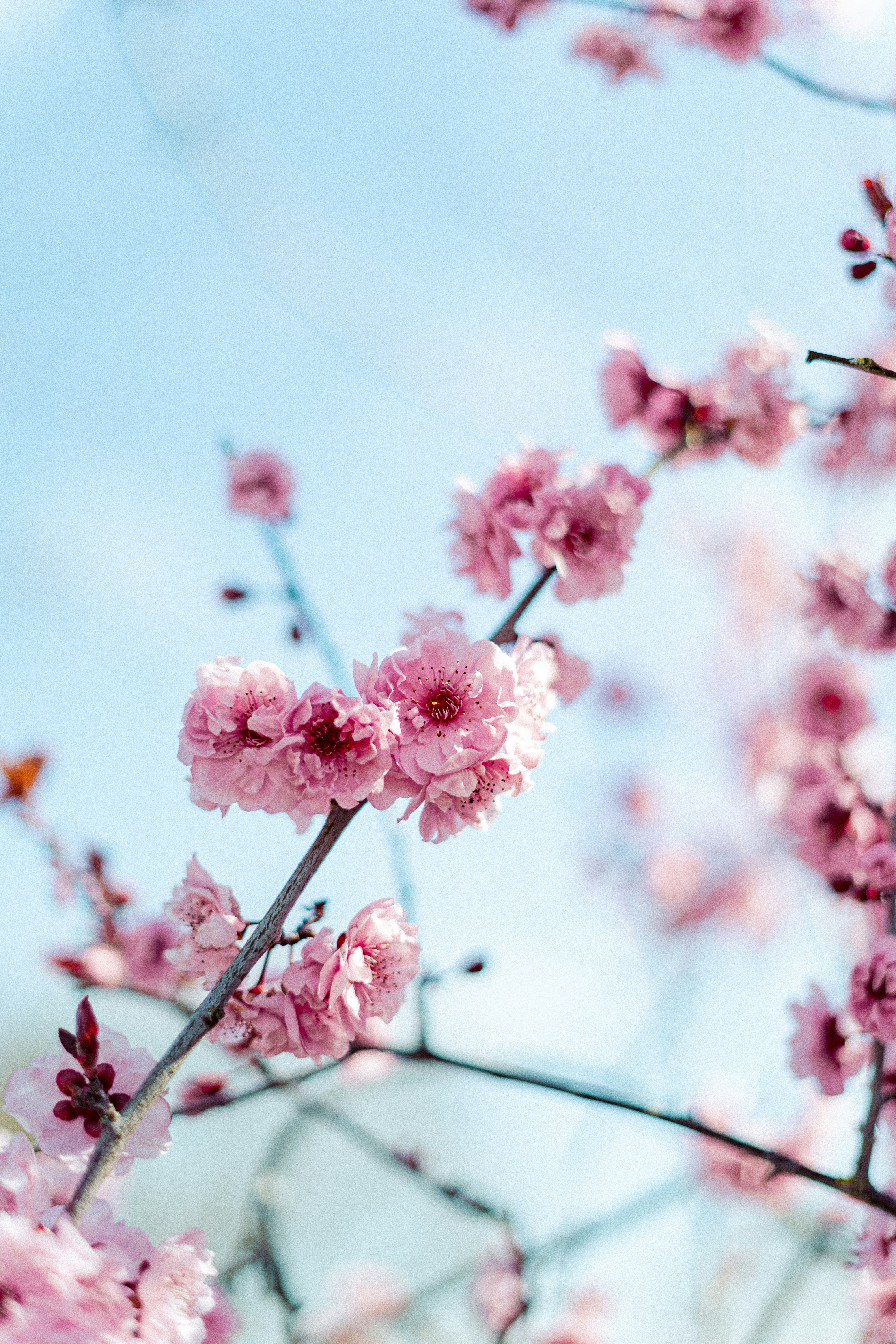 Photo by virussinside