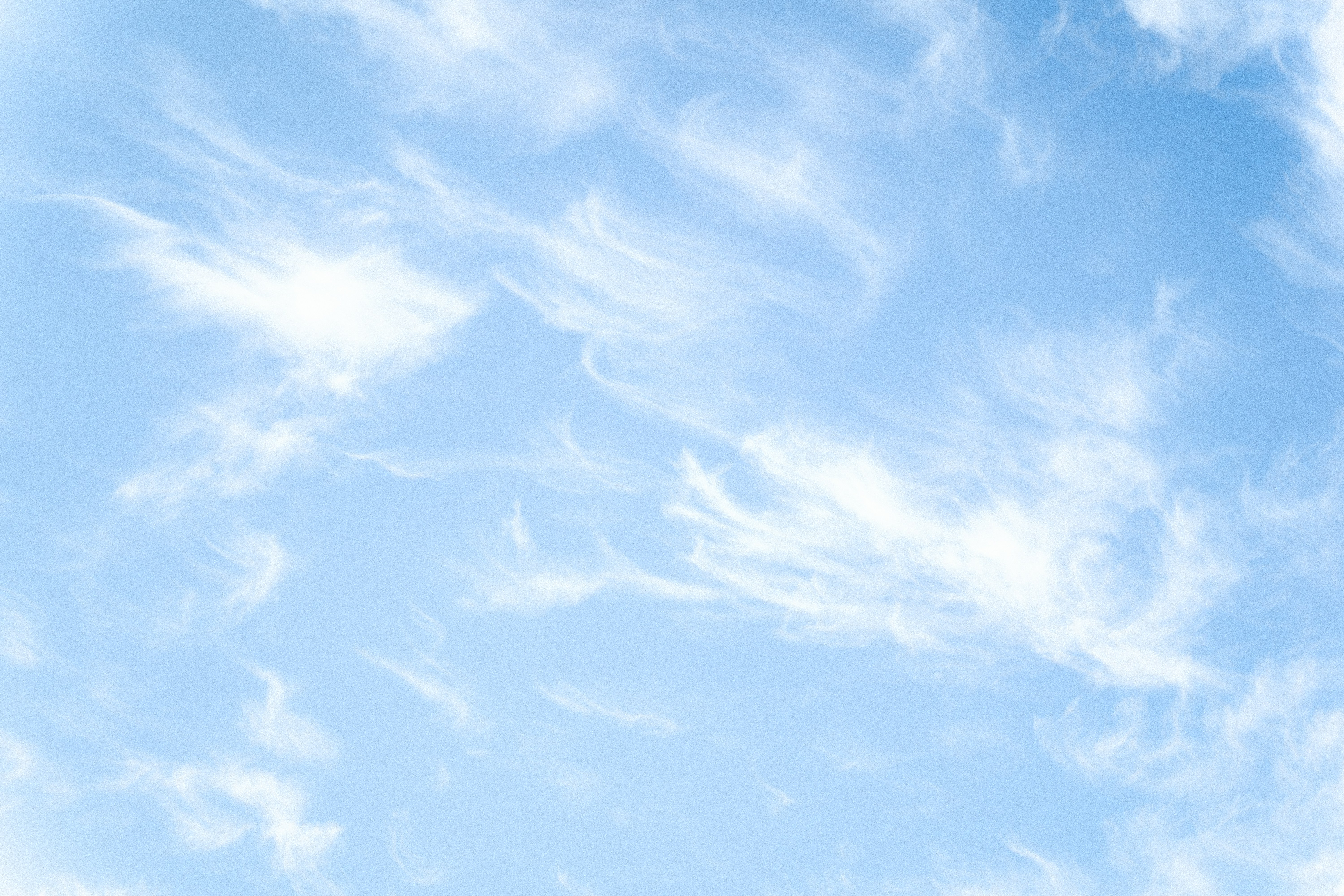 Photo by virussinside