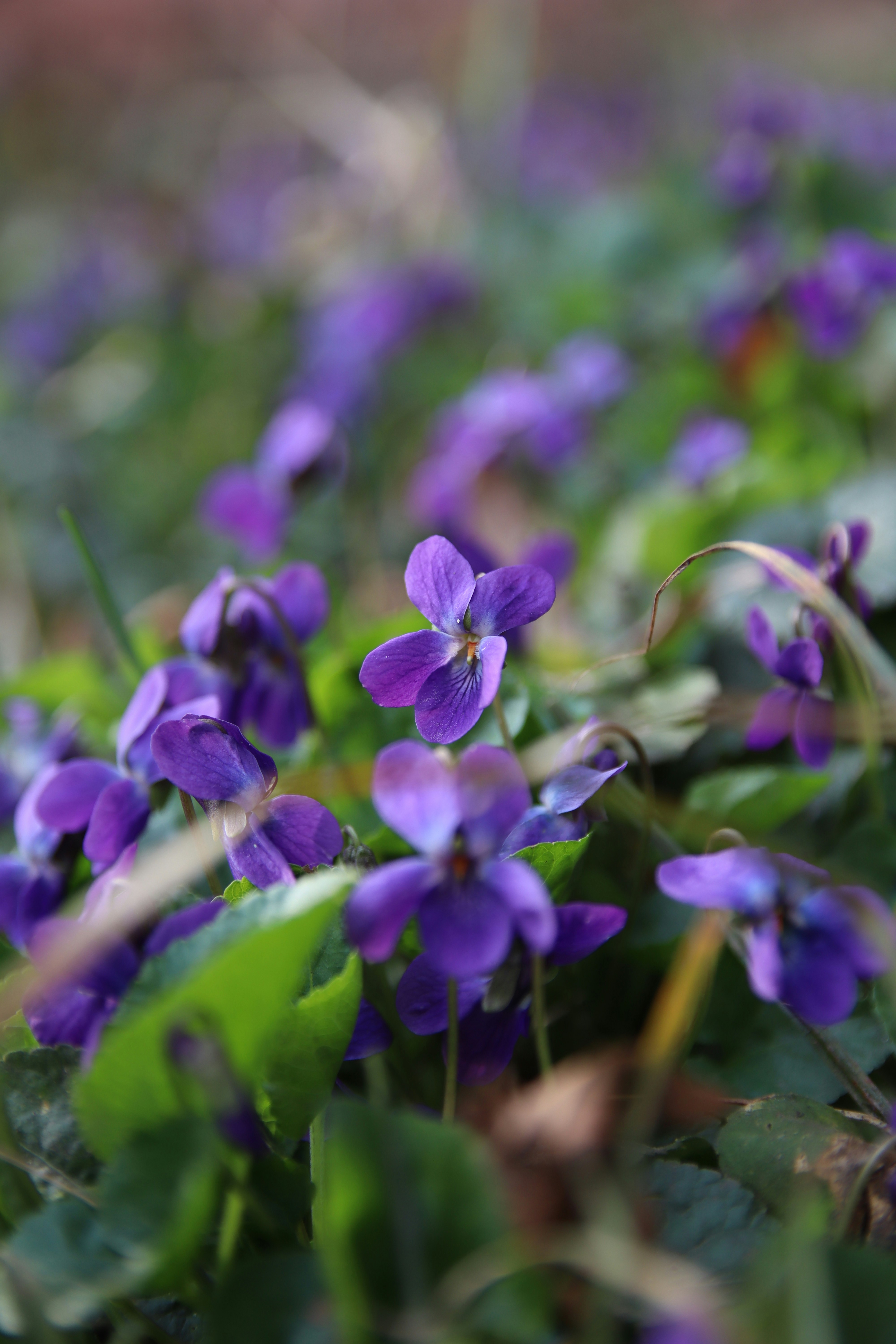 Photo by feeling_hope