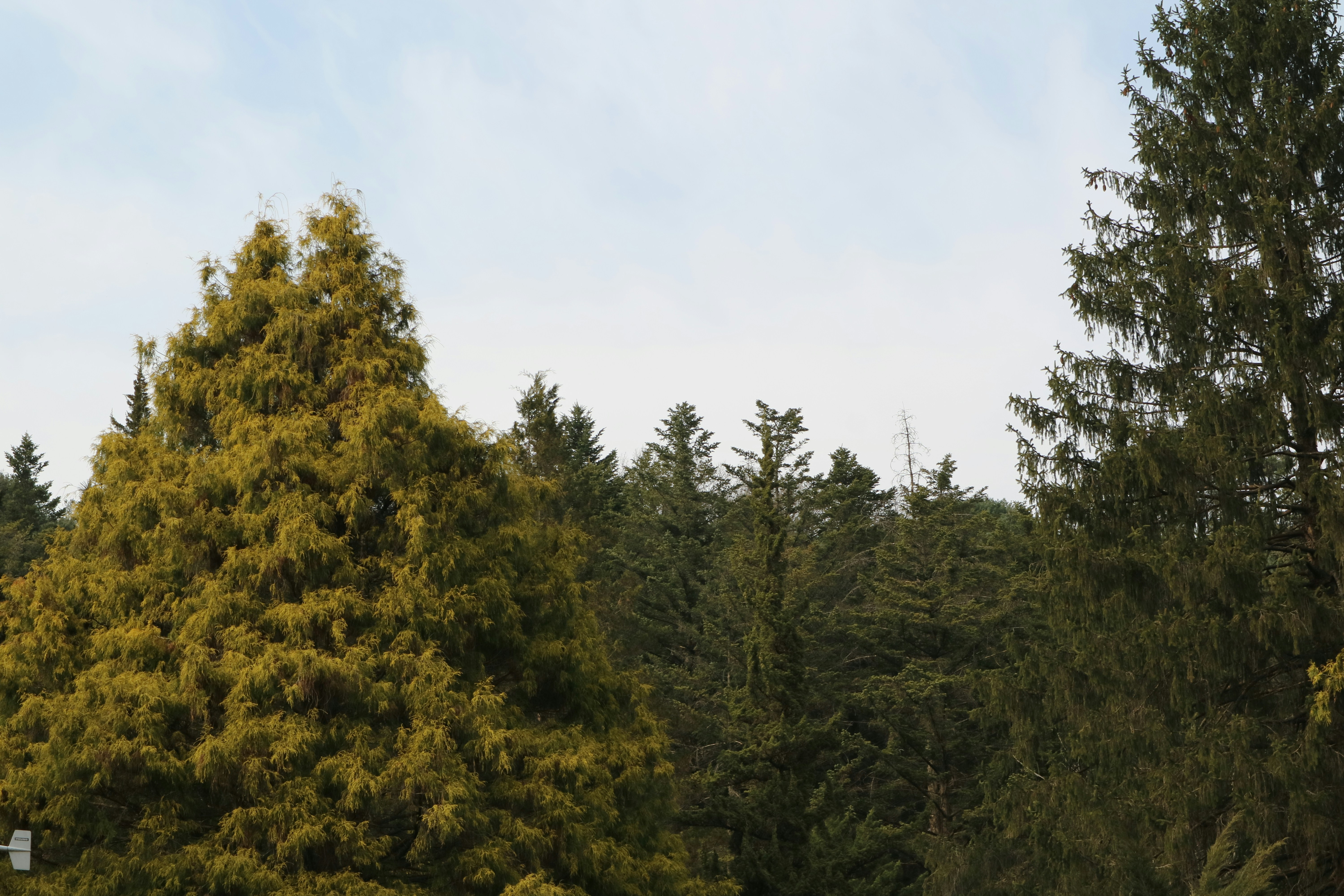 Photo by partofworld