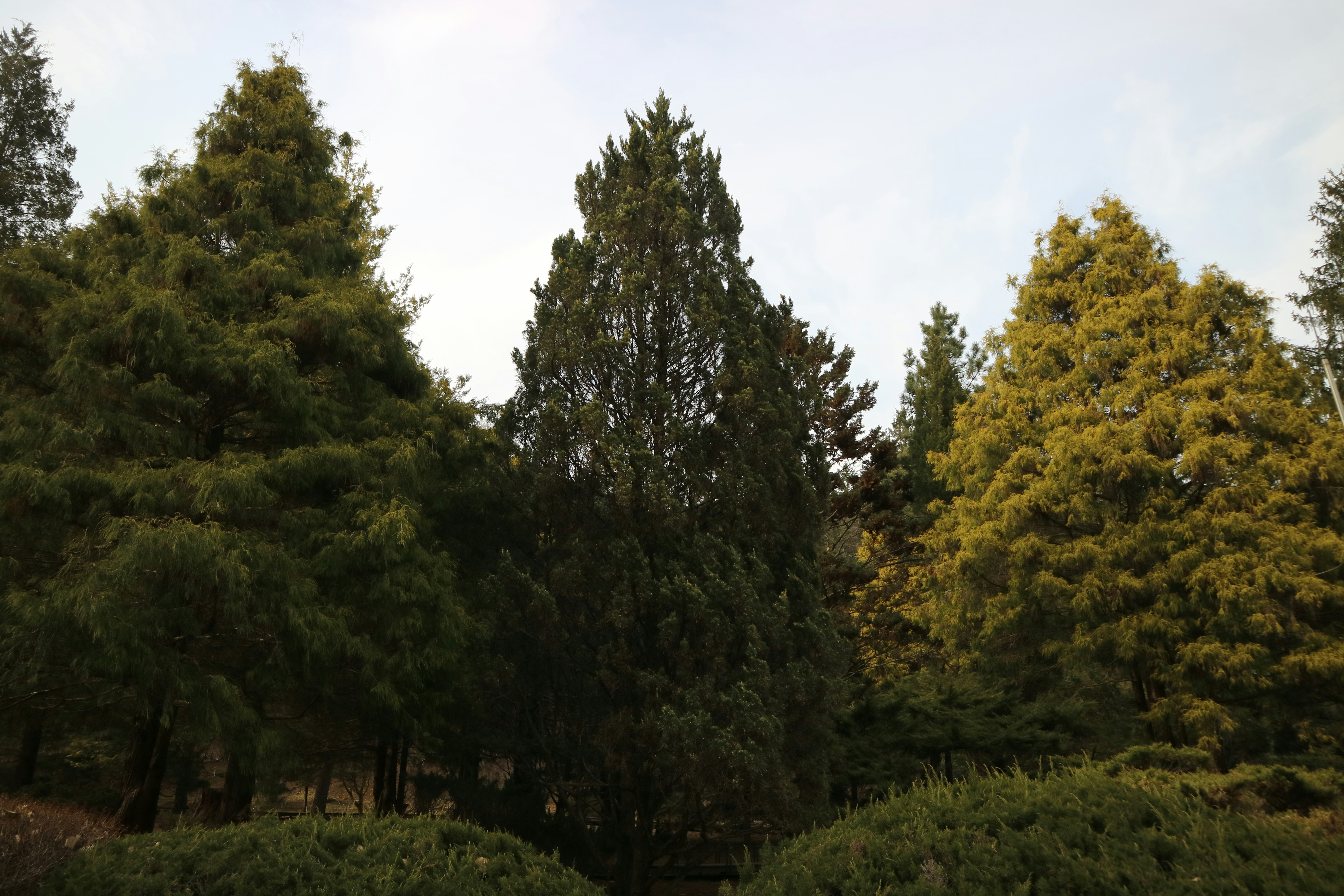 Photo by partofworld