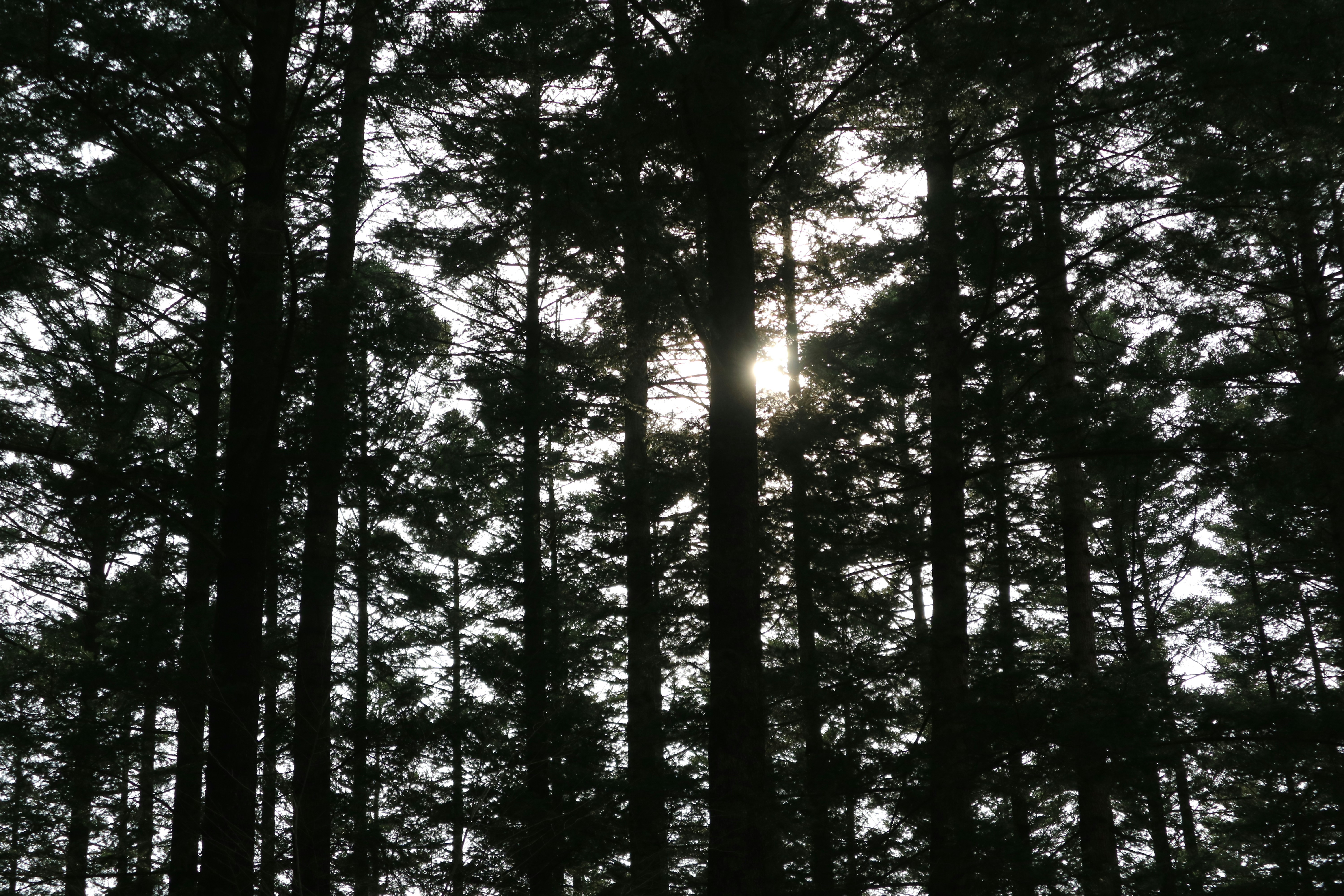 Photo by partofworld