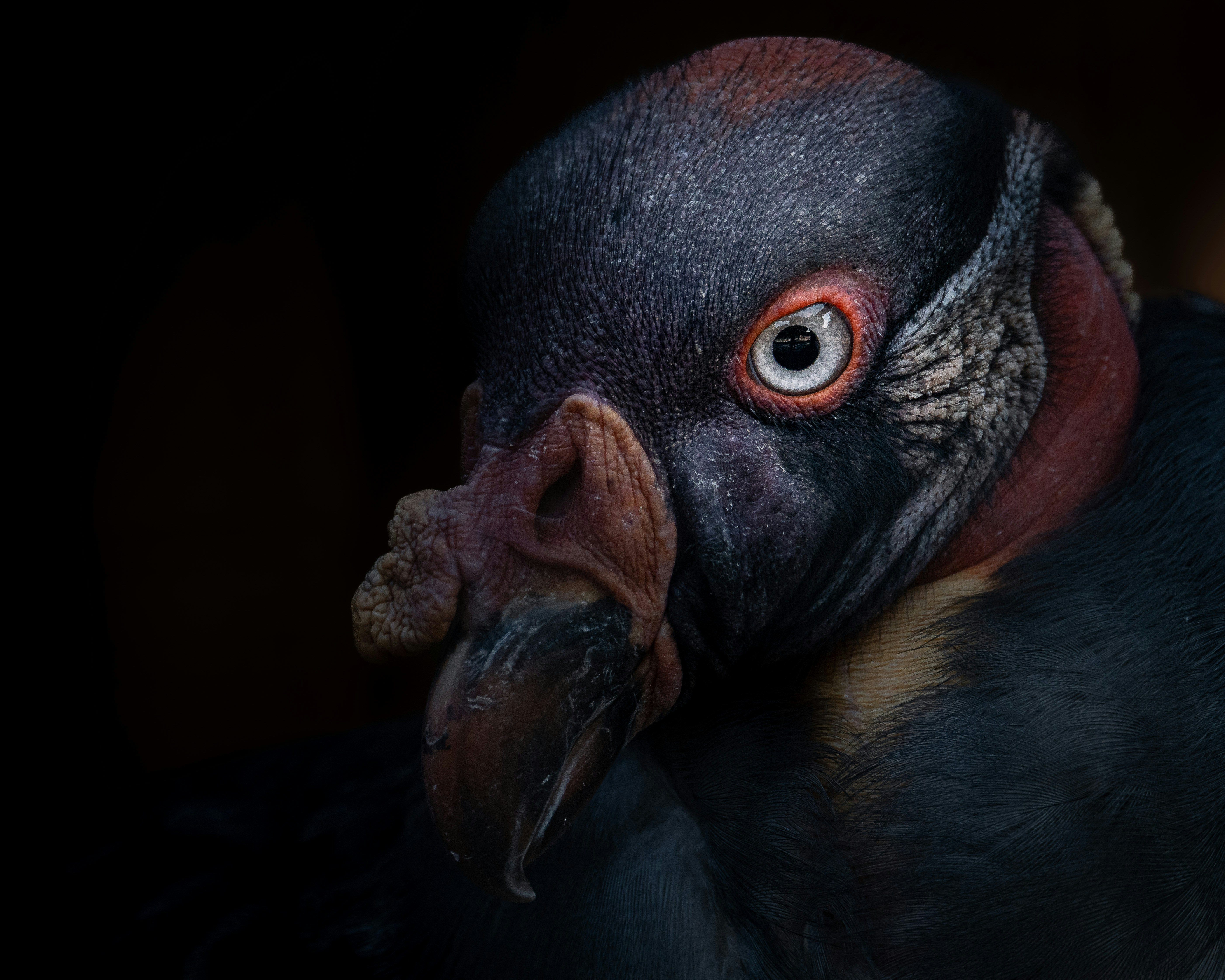 Analytics-Based Choices: Leveraging Corporation Intelligence for Victory