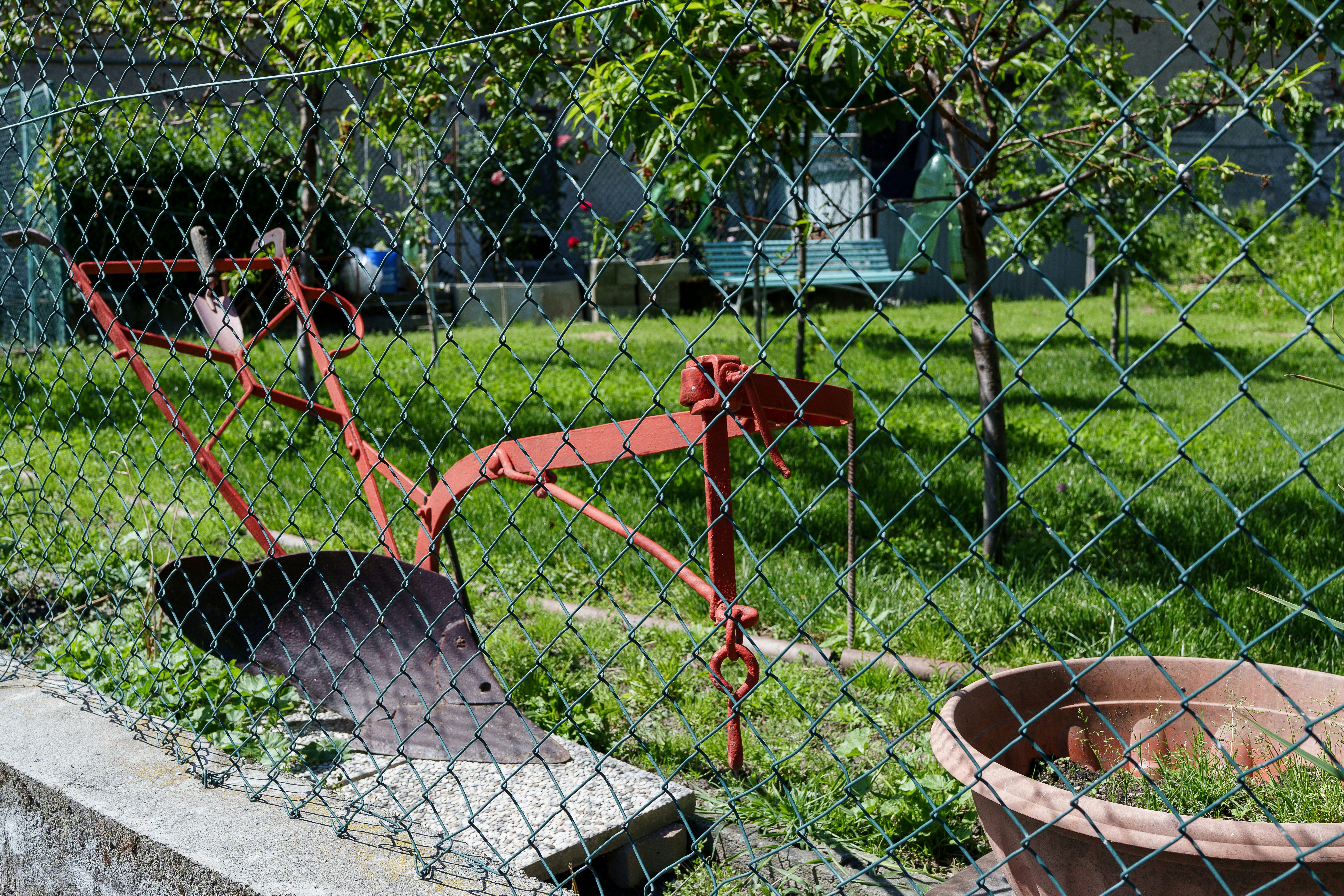 Arado rojo oxidado se encuentra en un jardín cubierto de hierba.