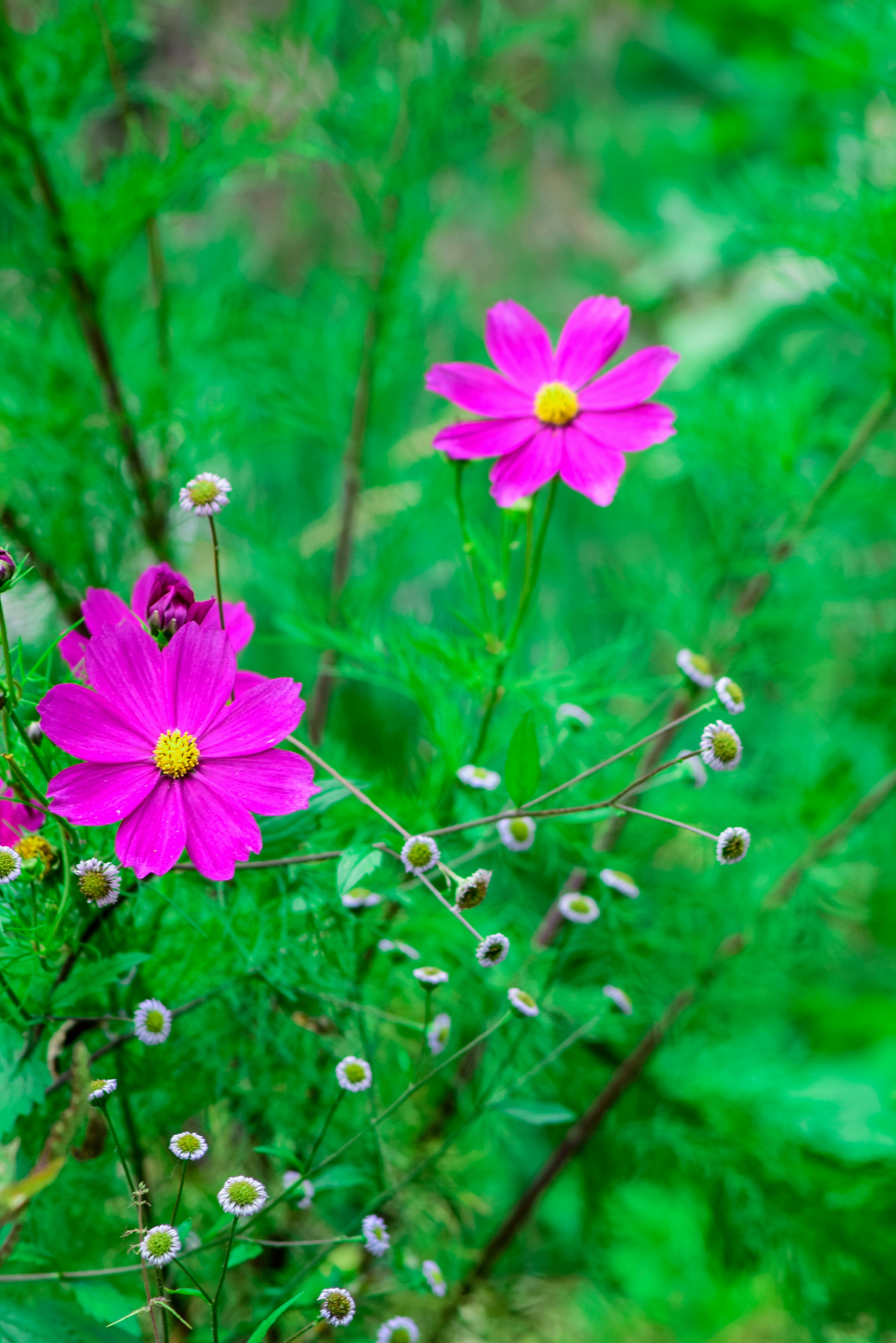 Photo by aashutoshrana88