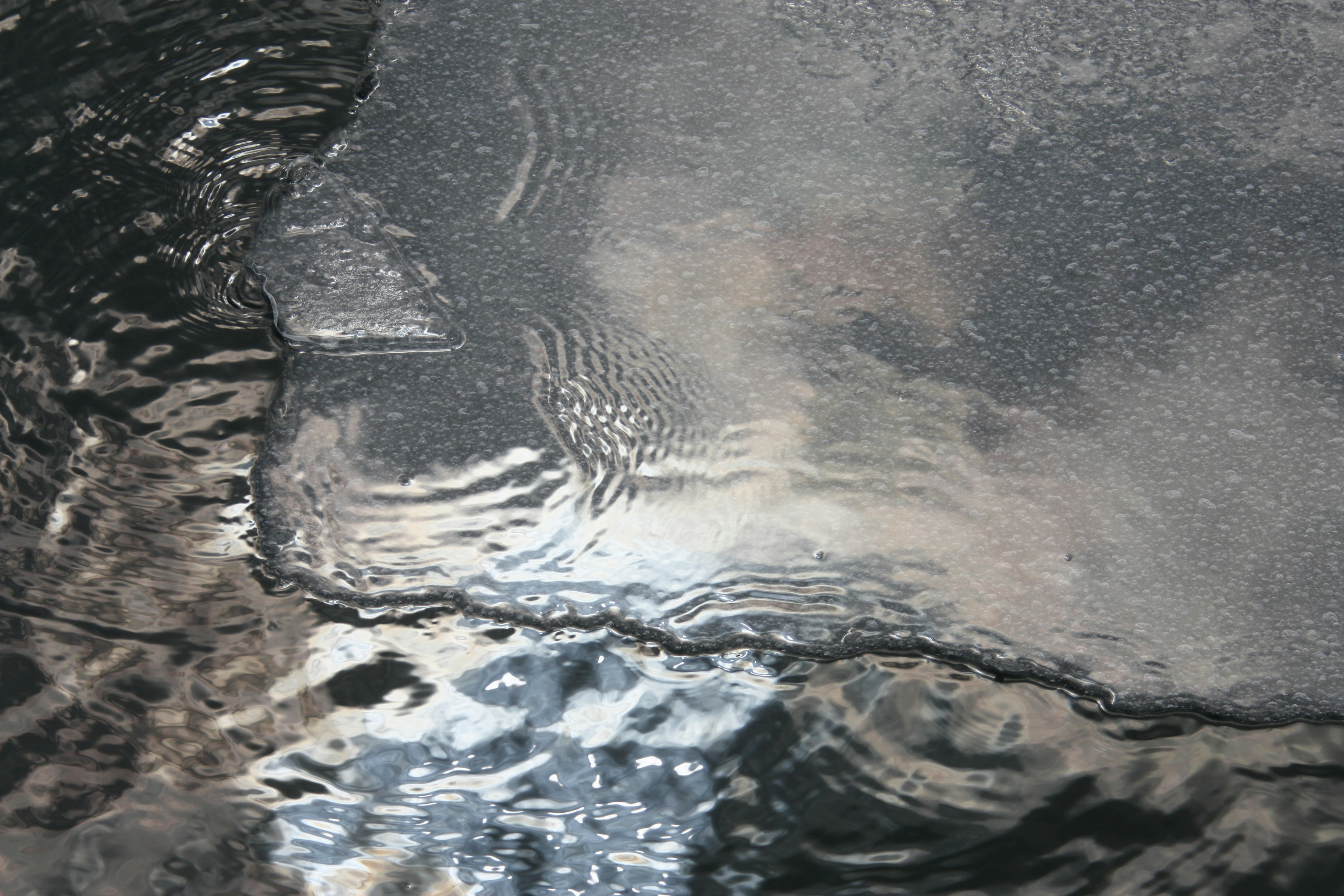 Photo by anthonyaird