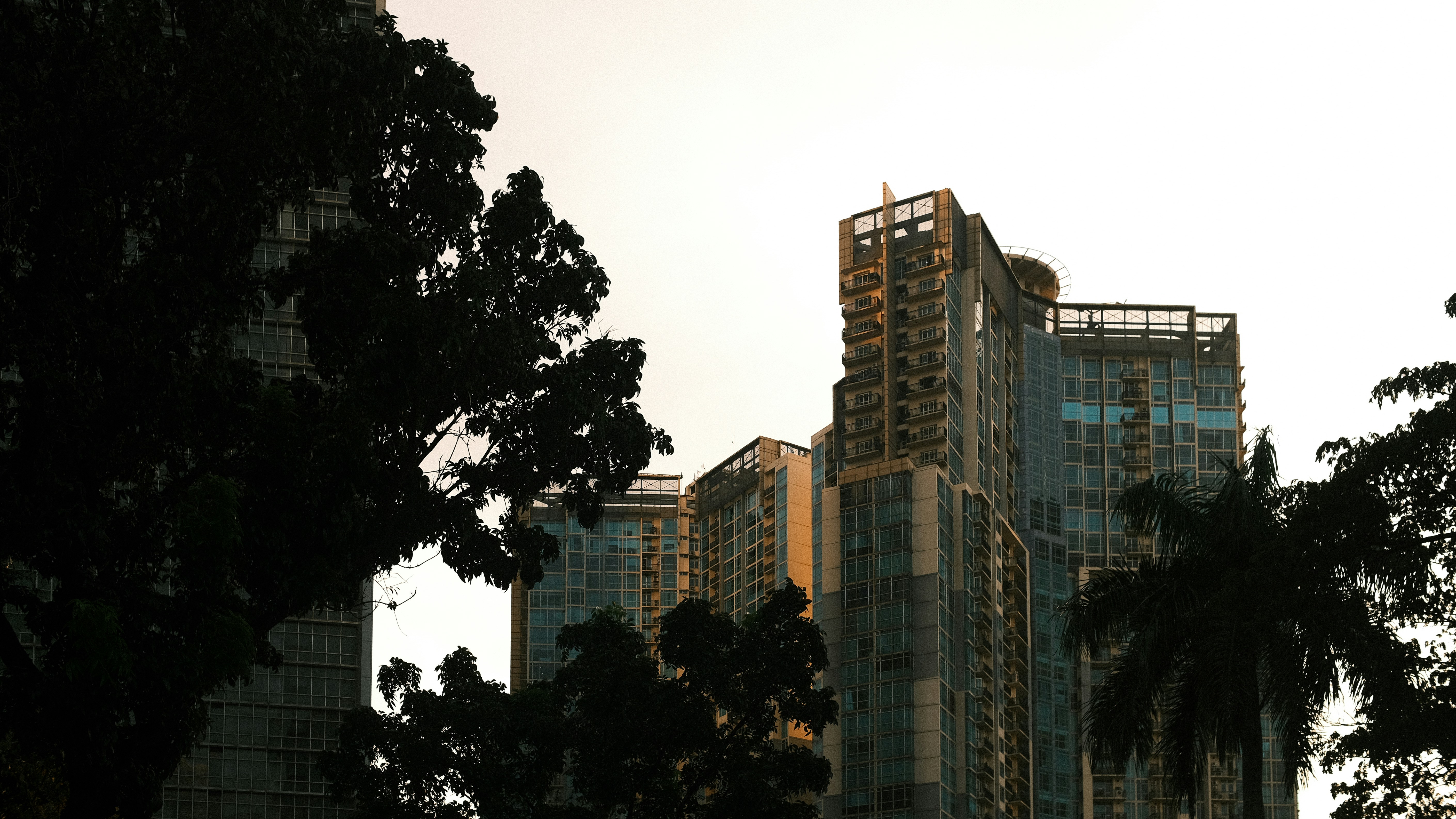 Photo by davidkristianto