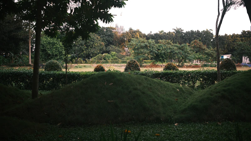 Best Free Things to Do in Vaishali That Cost Absolutely Nothing