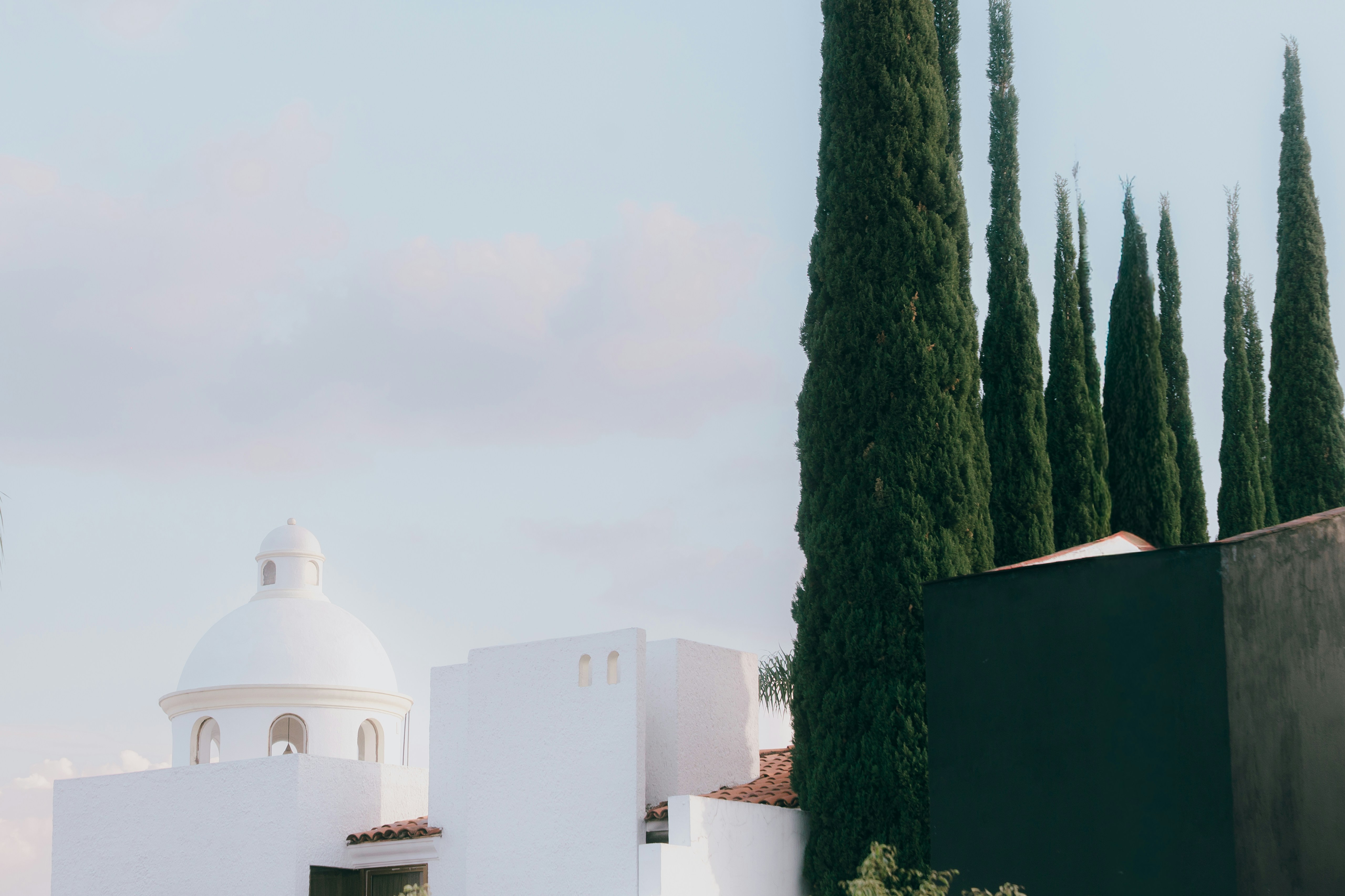 Weißes Gebäude mit Kuppel und hohen grünen Bäumen