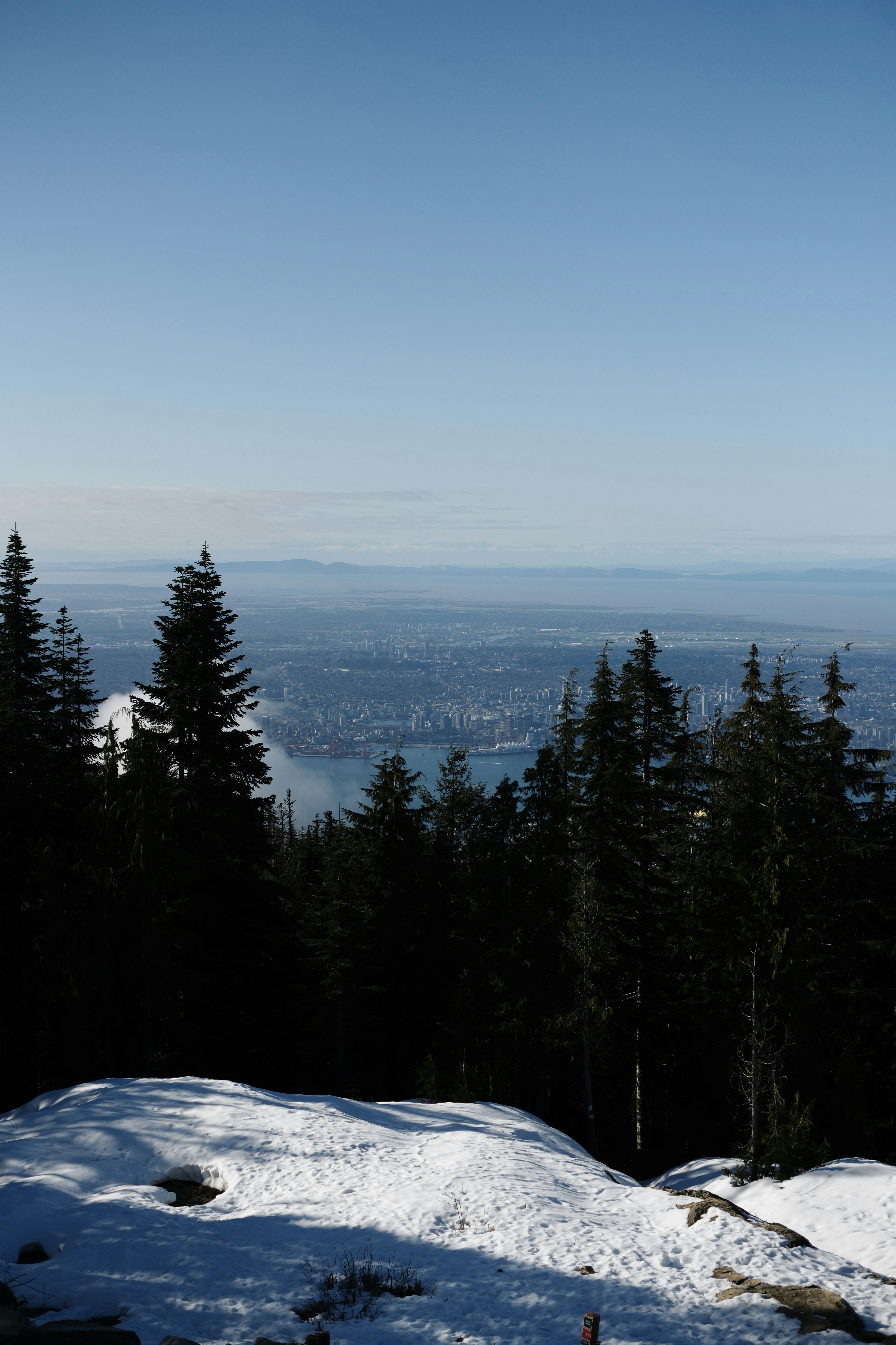 City skyline seen through evergreen trees from snowy mountain.
