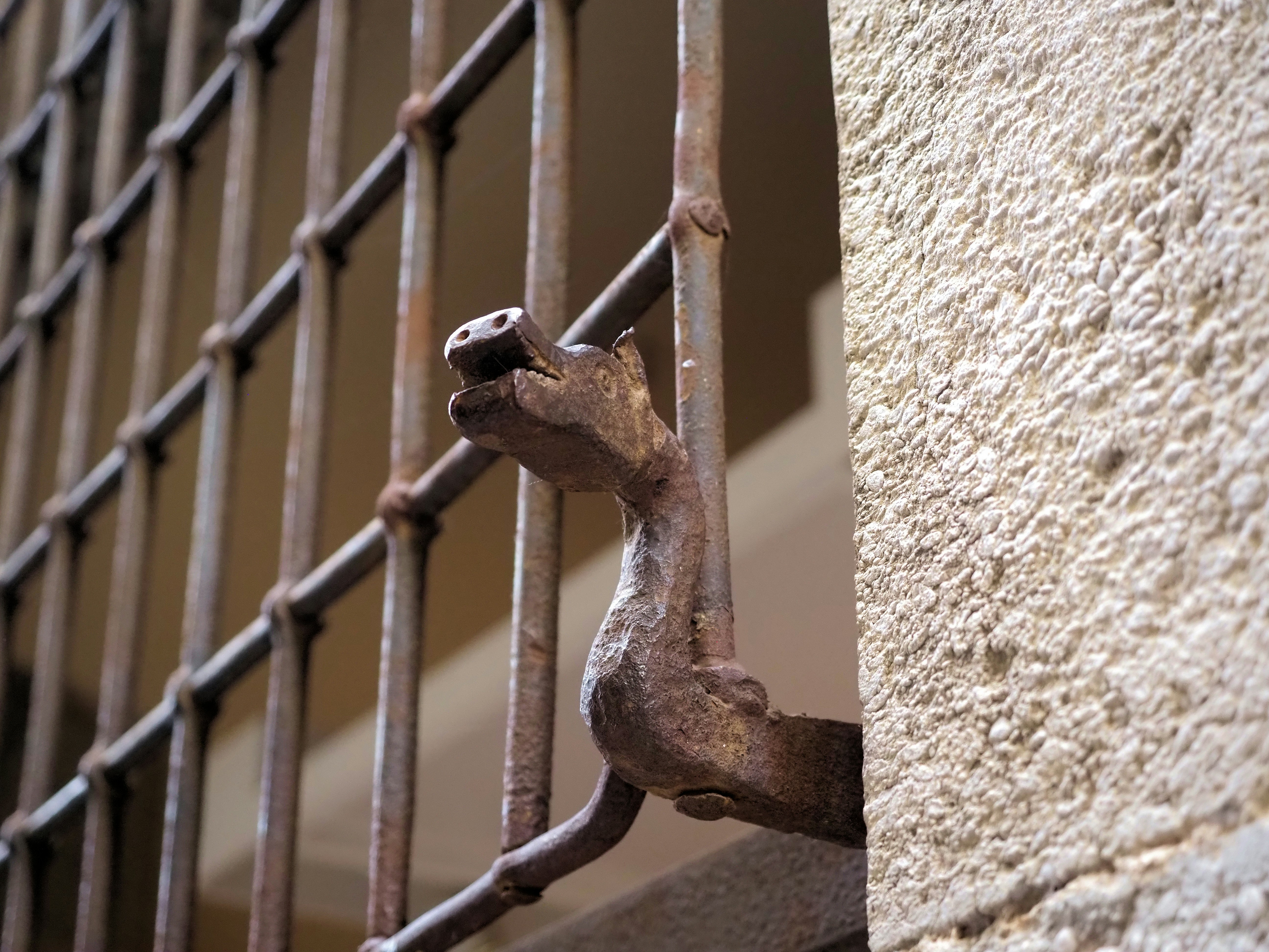 Lông mày đứt đoạn