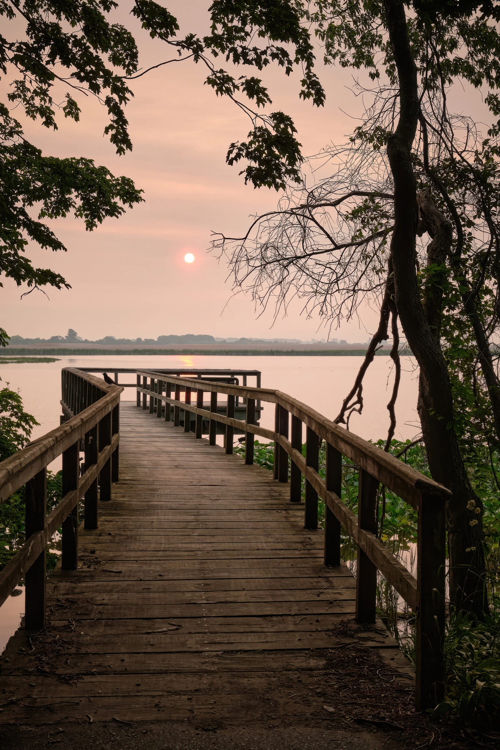 The jetty at first light, four minutes from any front door