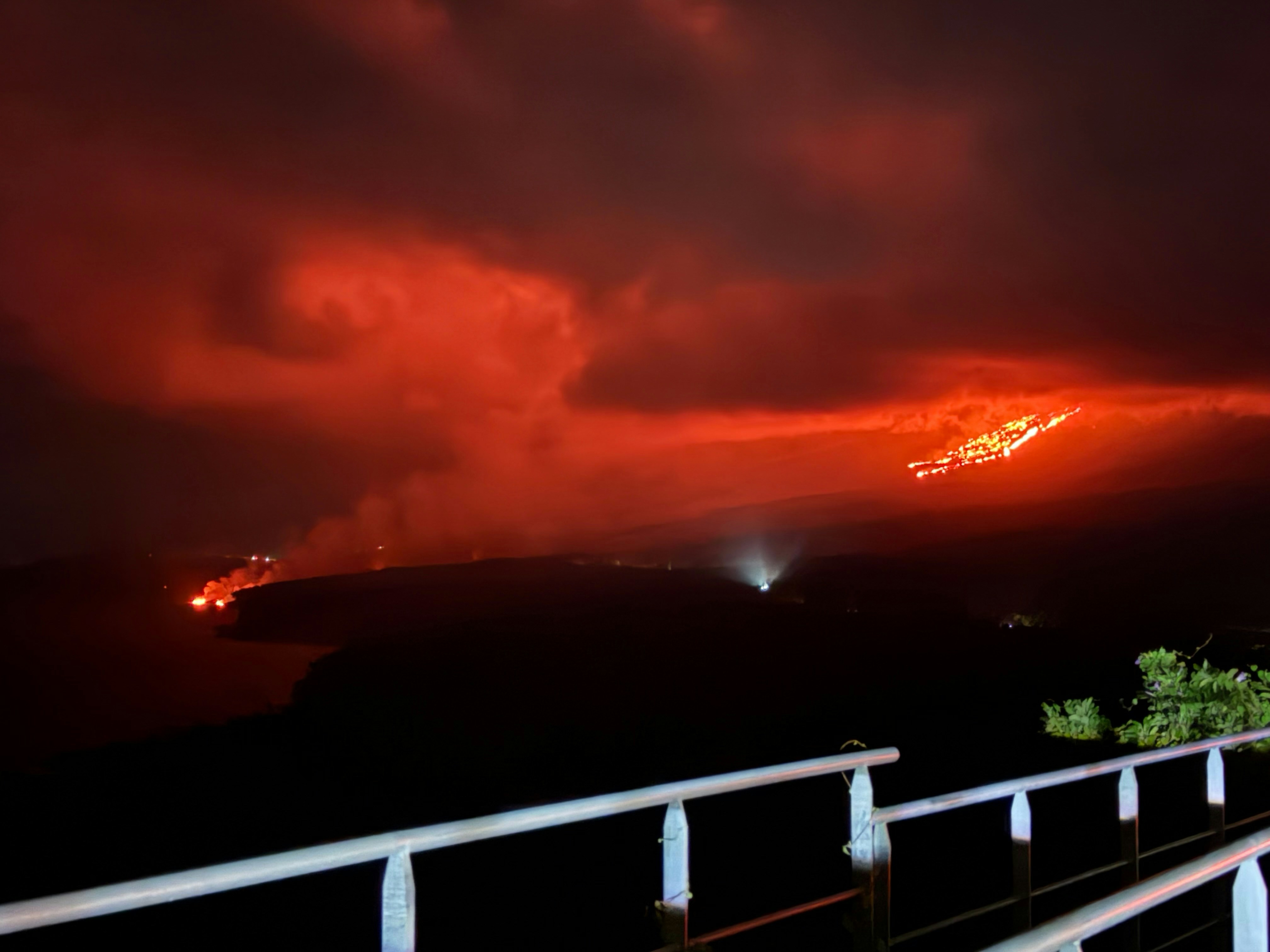 Photo by tropicalize